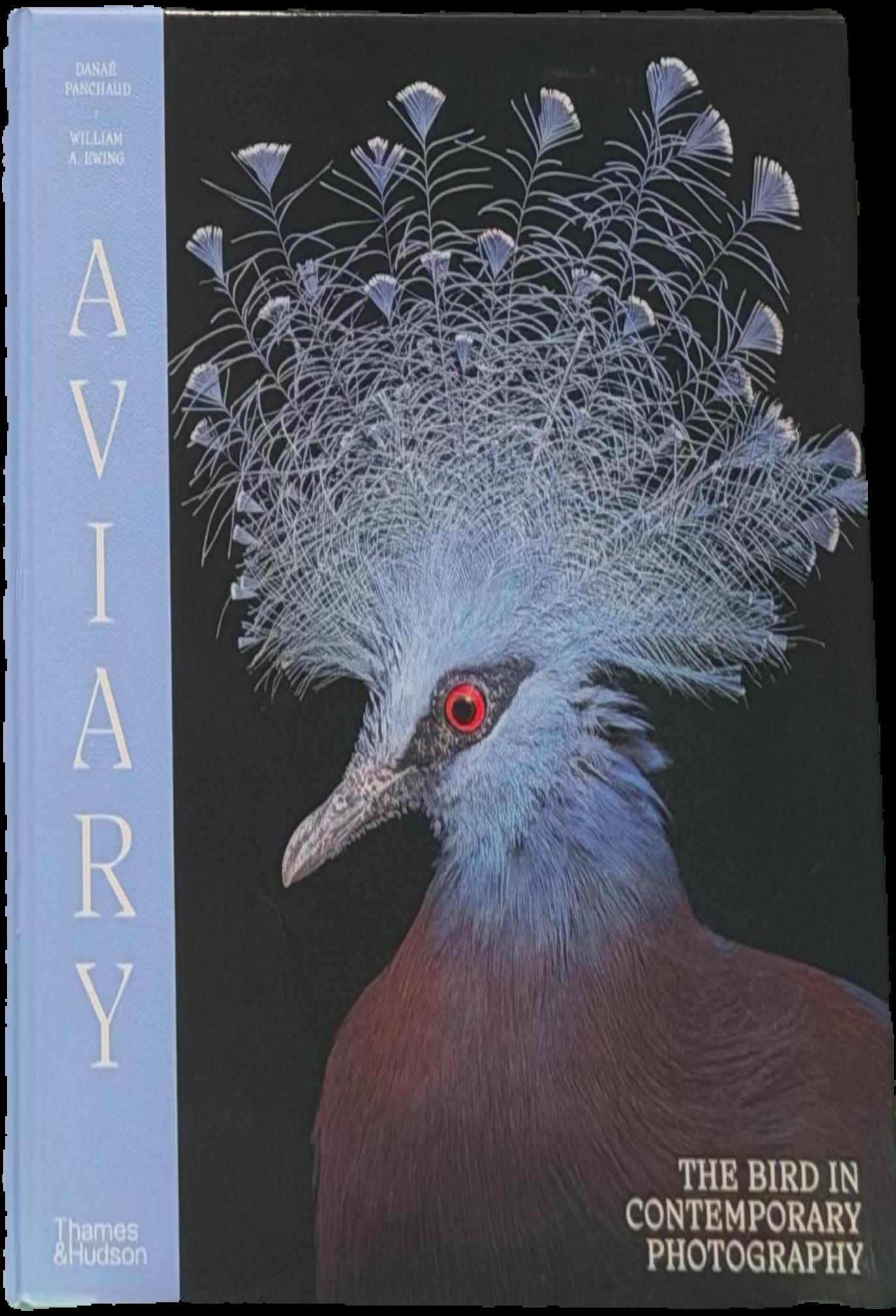 Aviary : the bird in contemporary photography live cover