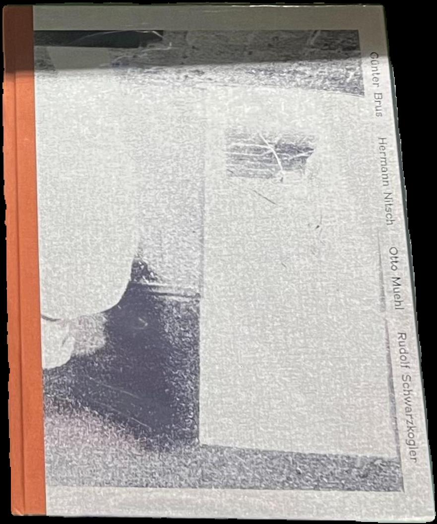 Rite of passage : the early years of Vienna Actionism 1960-1966 : Gunter Brus, Hermann Nitsch, Otto Muehl, Rudolph Schwarzkogler live cover