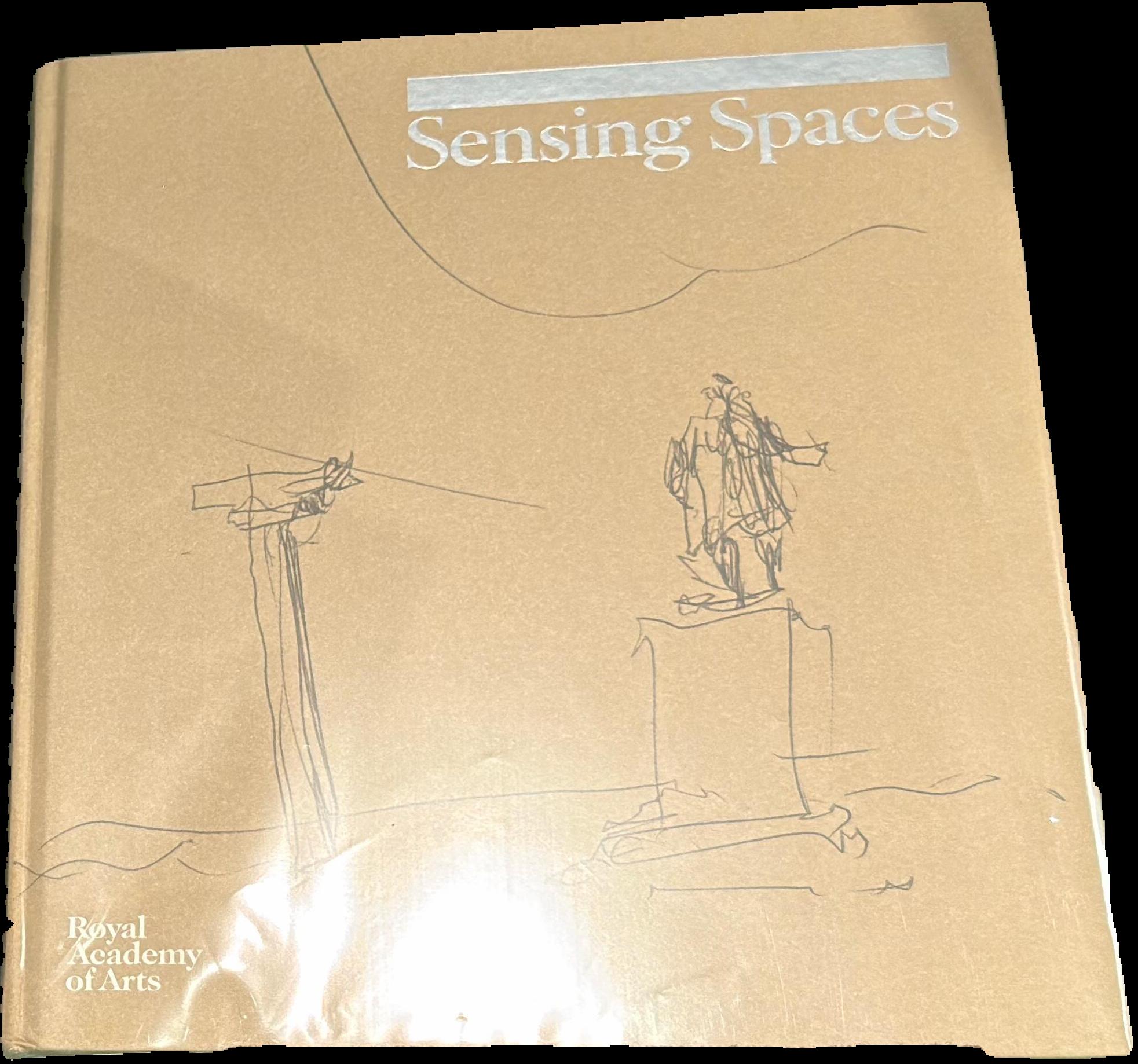 Sensing spaces : architecture reimagined live cover