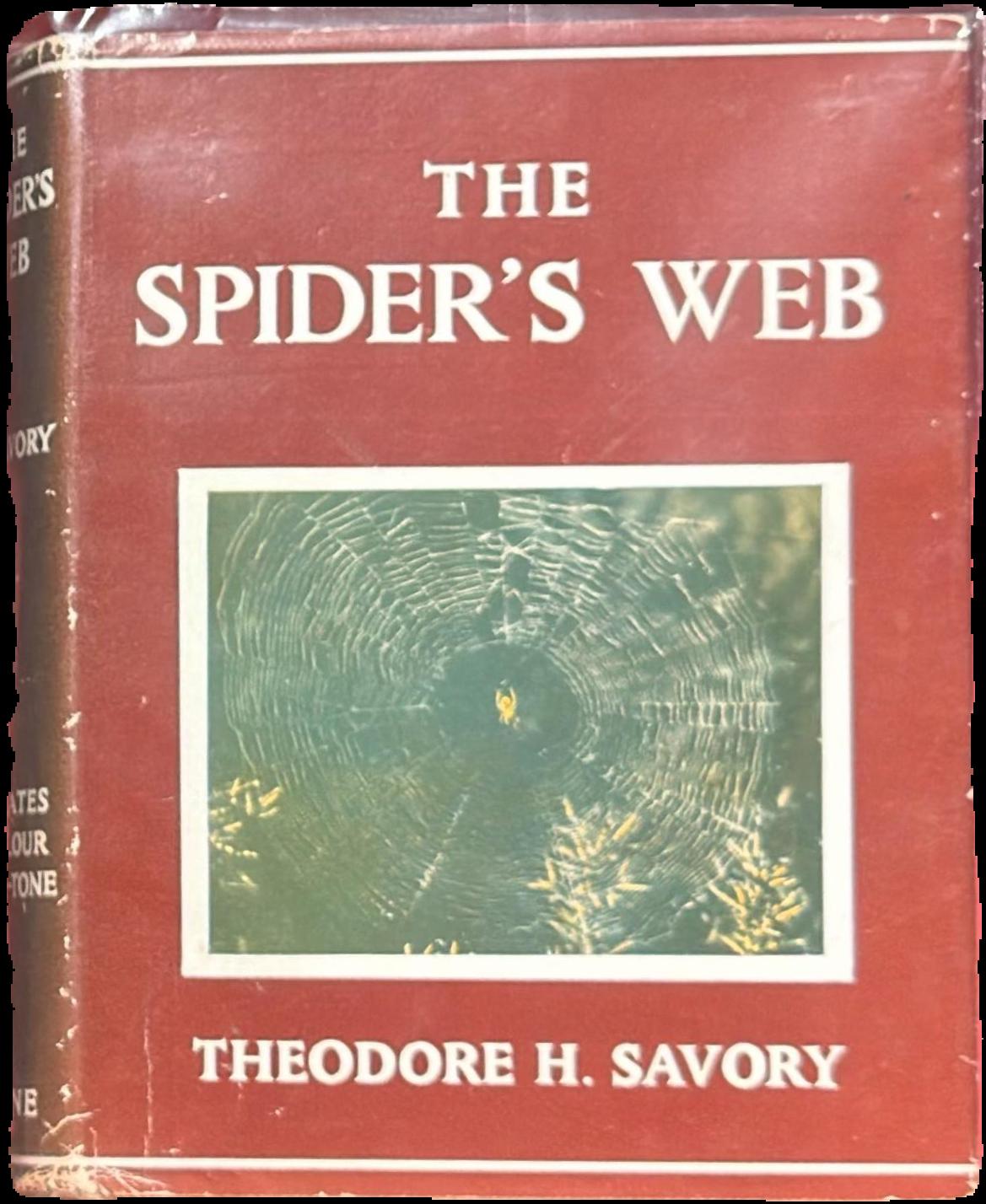 The spider's web live cover