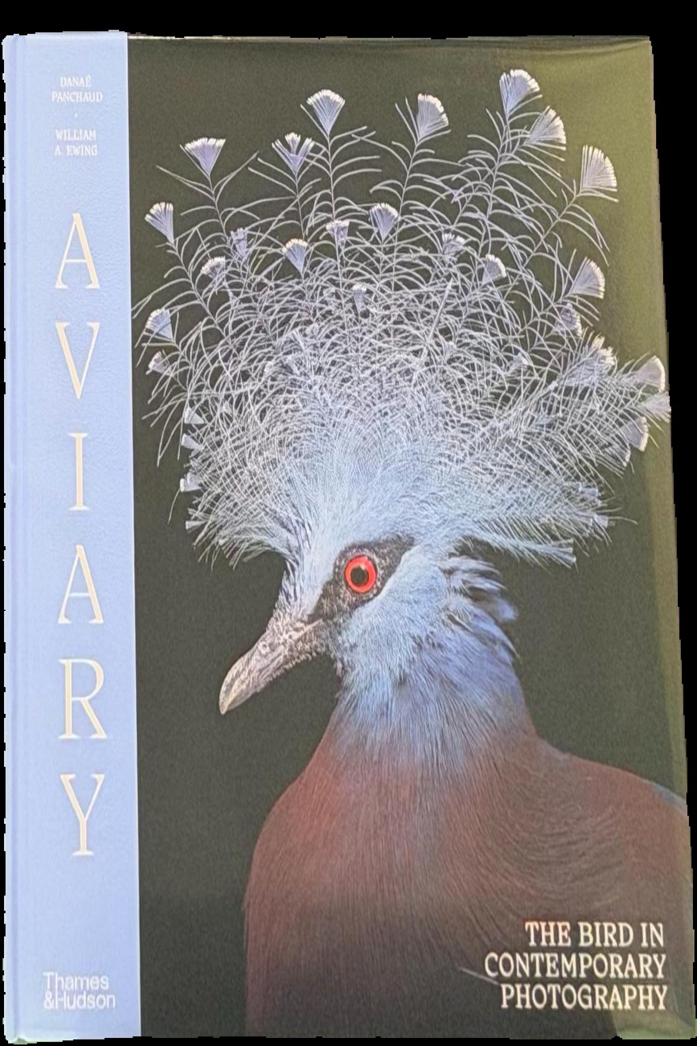 Aviary : the bird in contemporary photography live cover