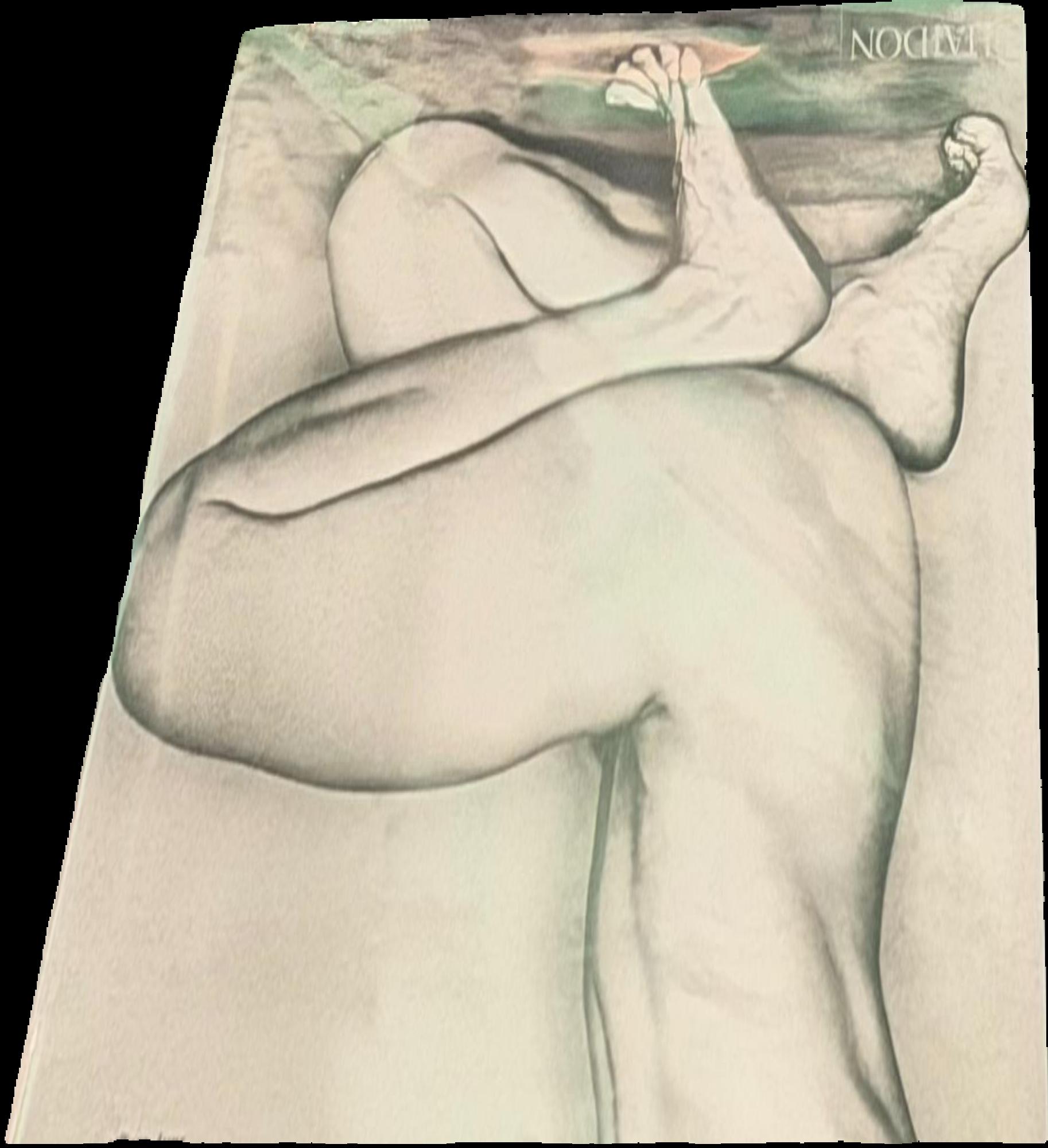 Digital technologies and the museum experience : handheld guides and other media live cover