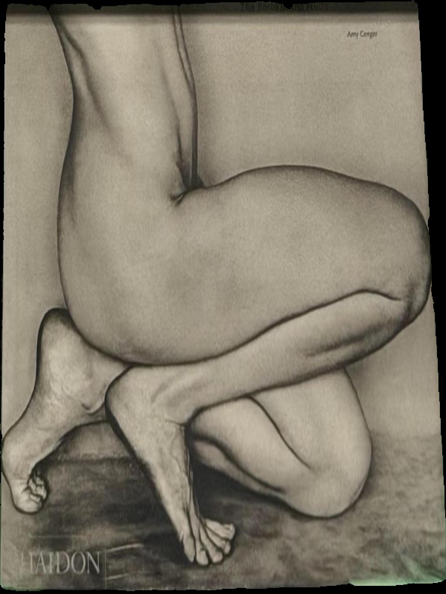 Edward Weston : the form of the nude live cover