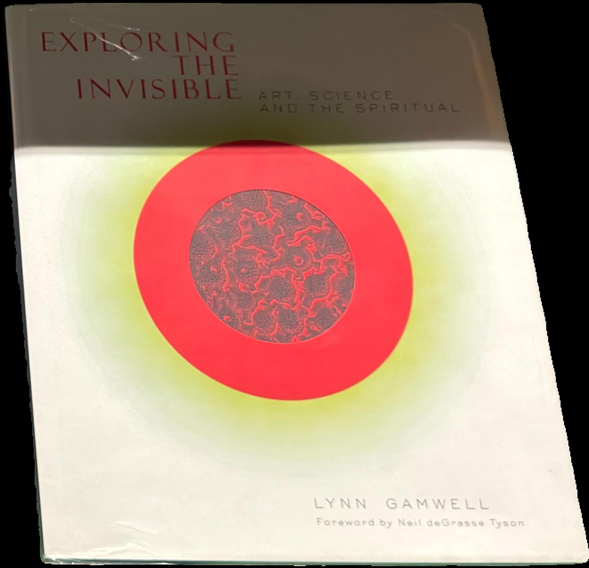 Exploring the invisible : art, science and the spiritual live cover