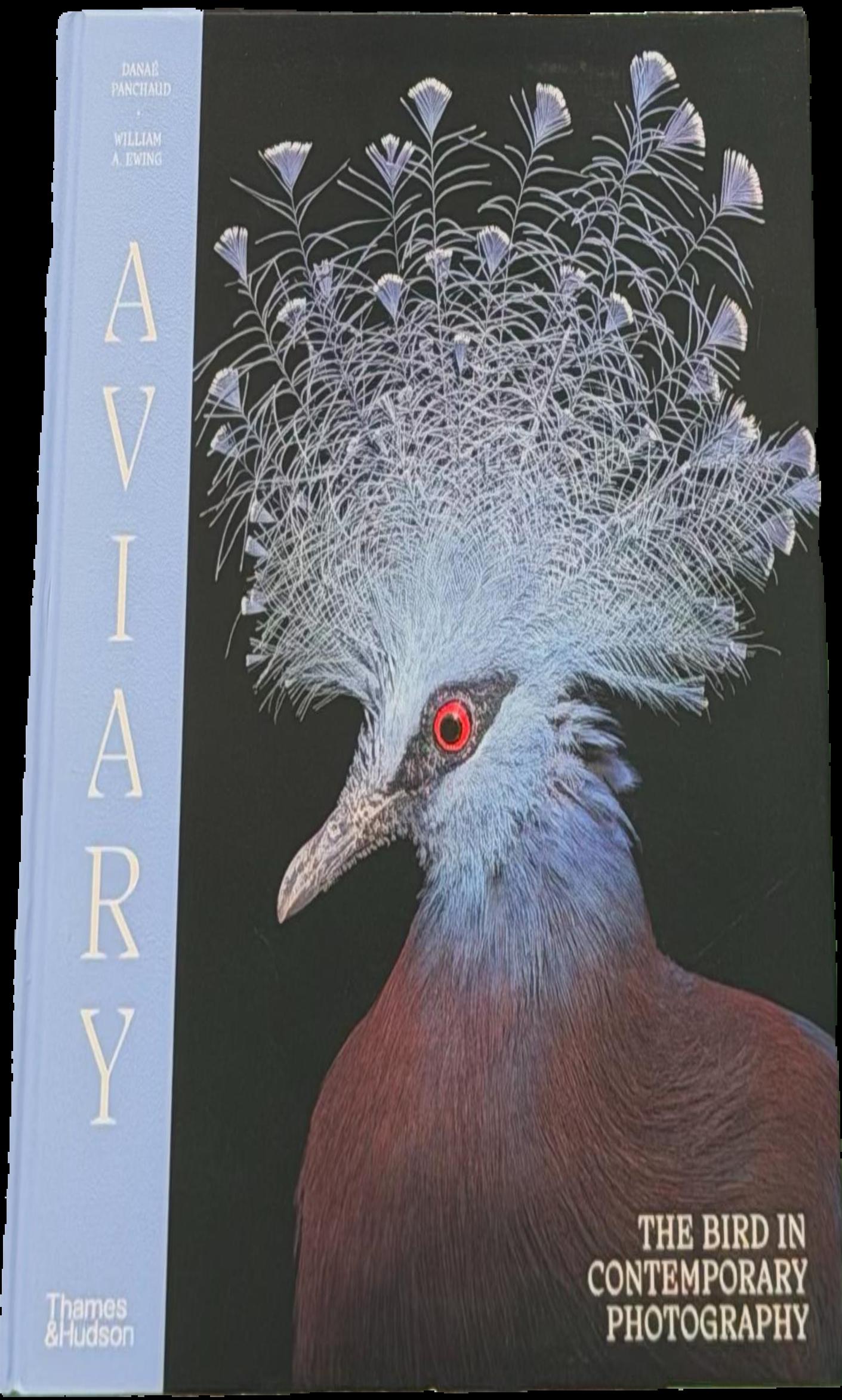 Aviary : the bird in contemporary photography live cover