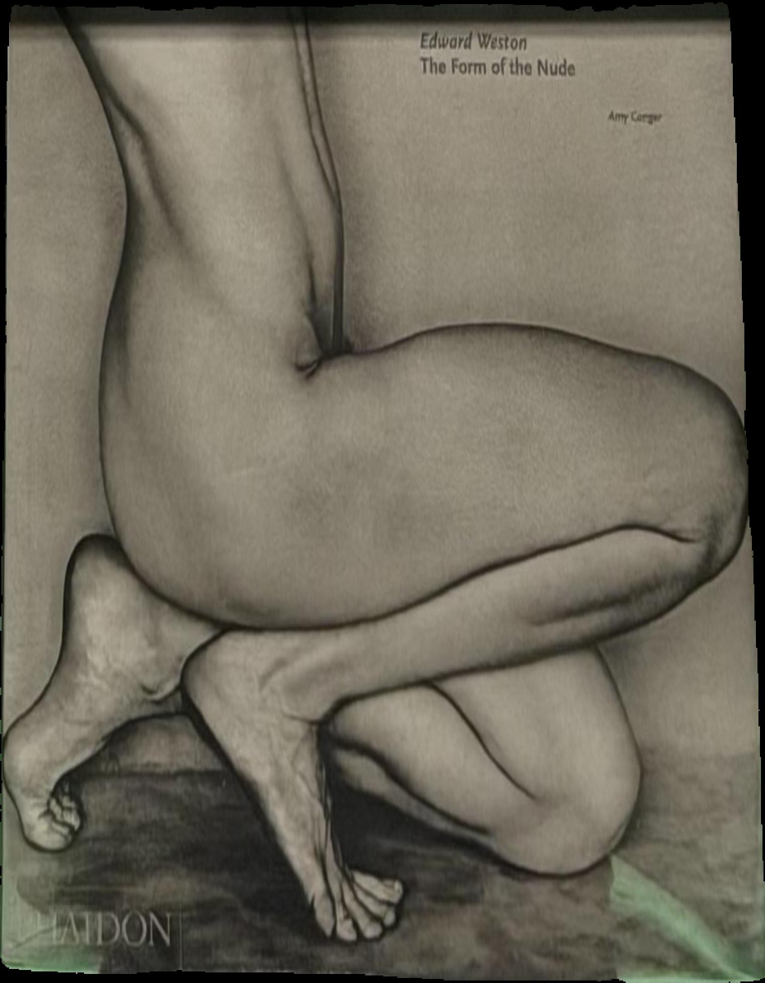 Edward Weston : the form of the nude live cover