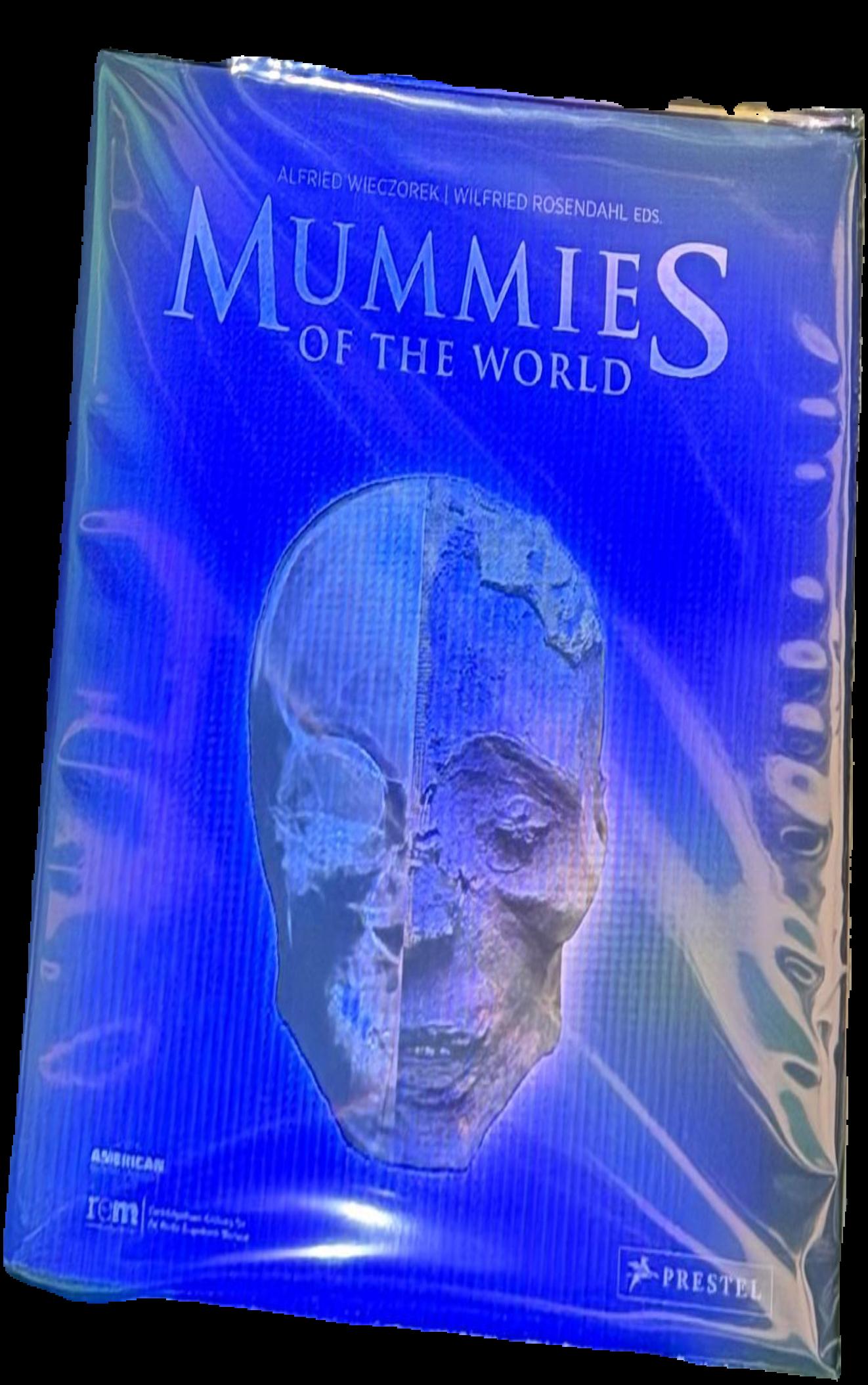 Mummies of the world live cover