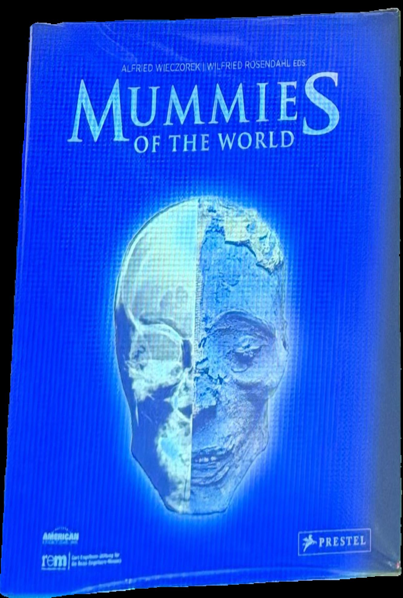Mummies of the world live cover