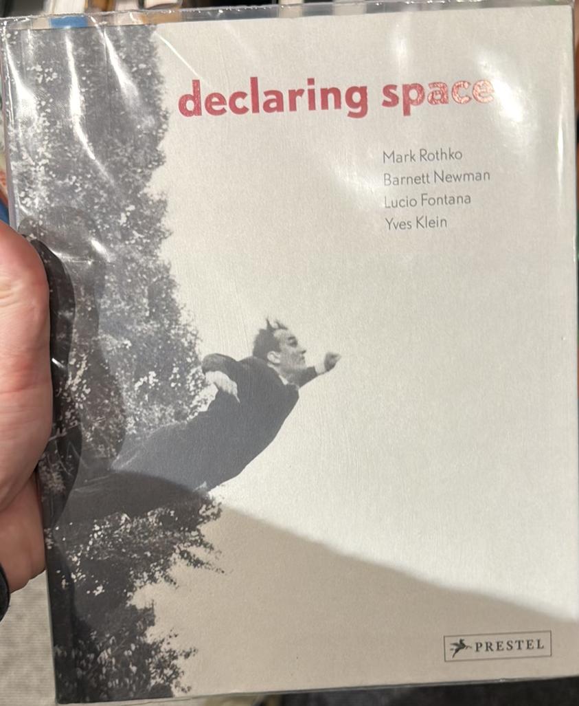 Declaring space : Mark Rothko, Barnett Newman, Lucio Fontana, Yves Klein live cover