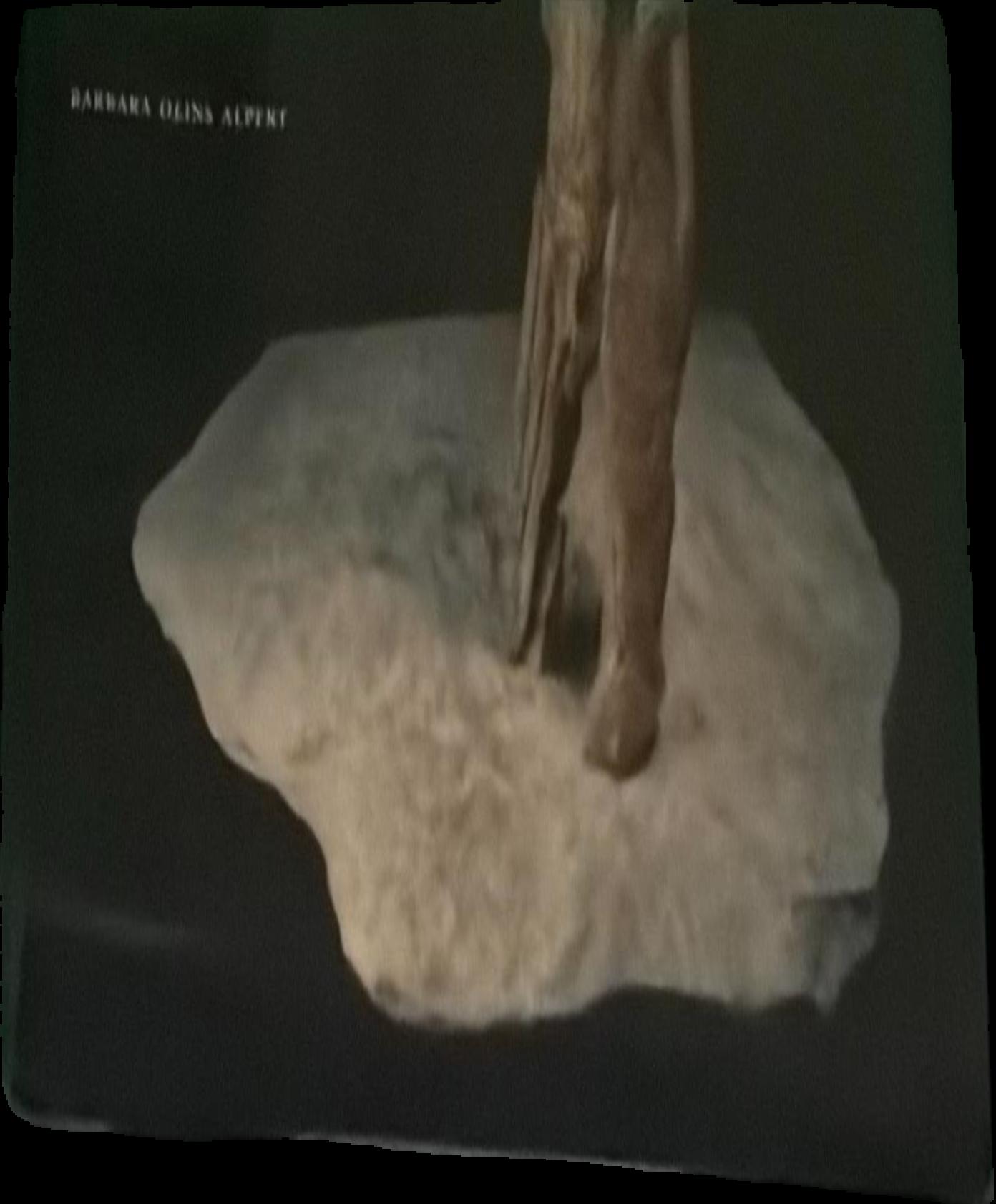 Origines de l'homme live cover