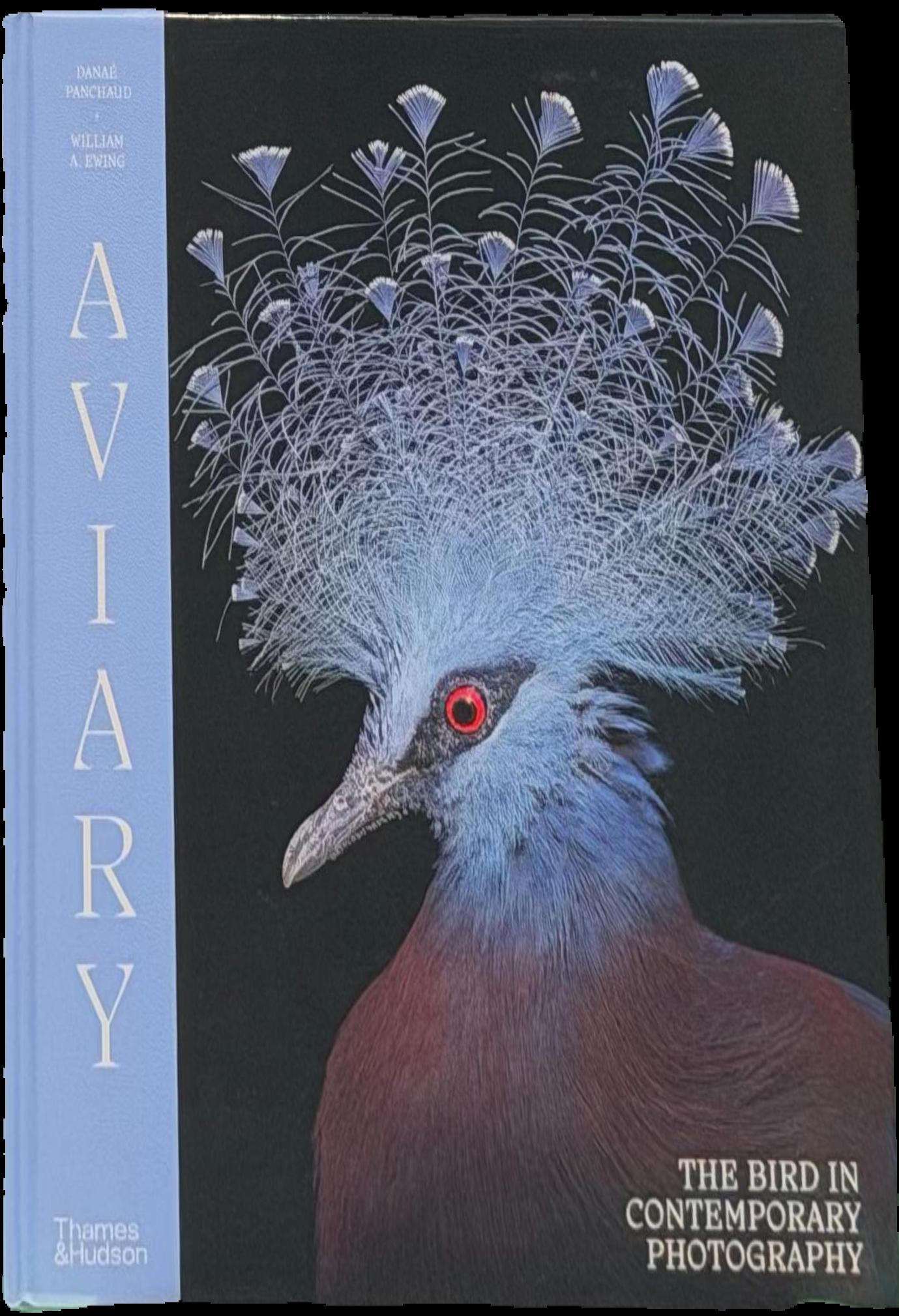 Aviary : the bird in contemporary photography live cover