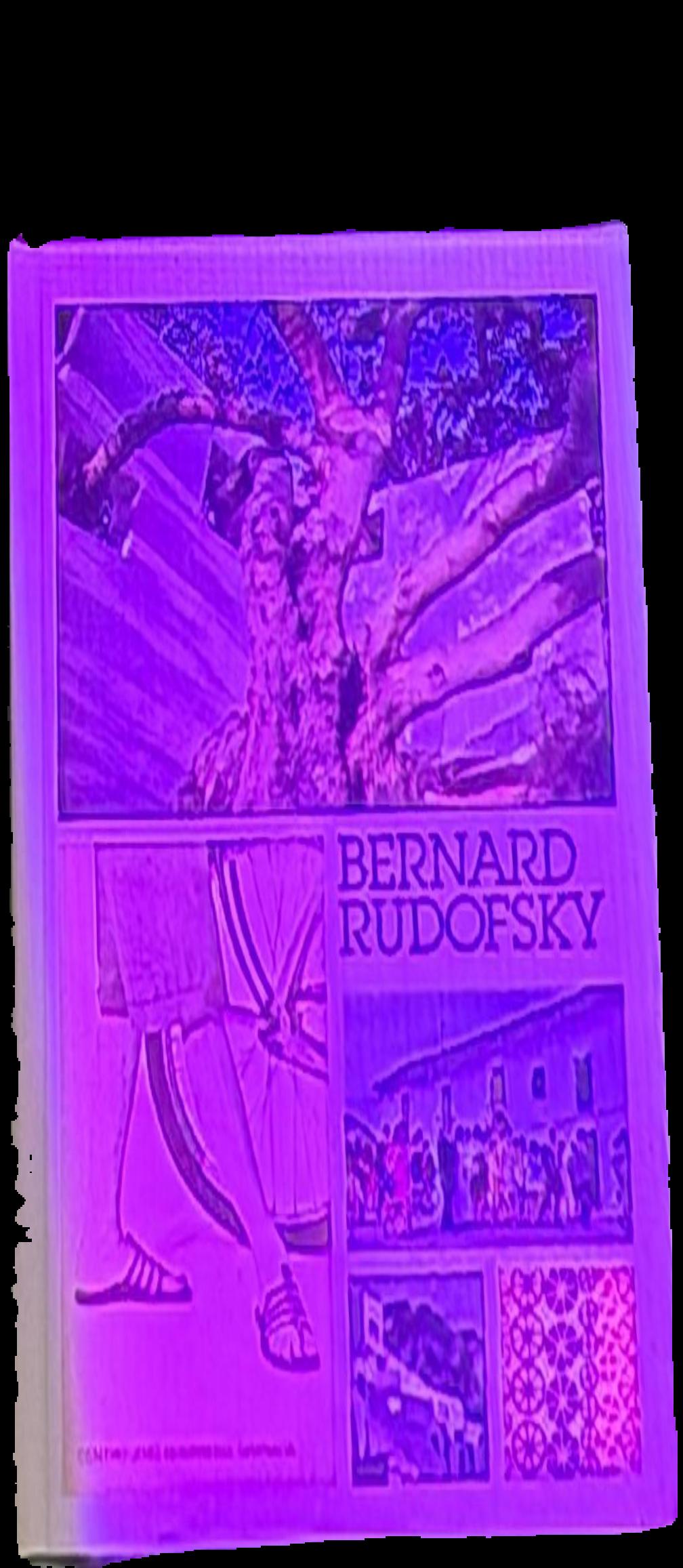 Disorientation : Bernard Rudofsky in the empire of signs live cover