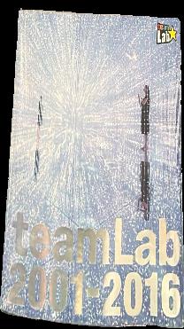 2001 fire calendar / by Liz Parkinson live cover