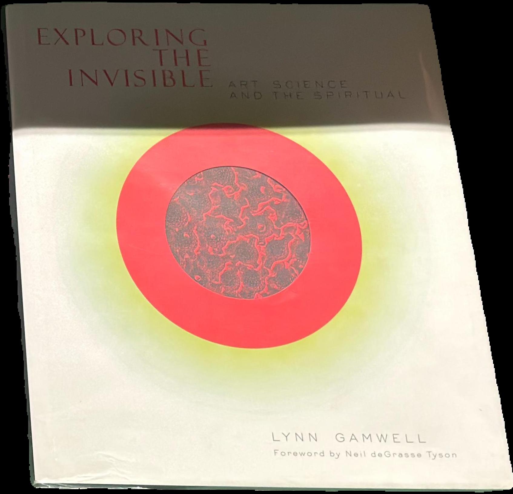 Exploring the invisible : art, science and the spiritual live cover