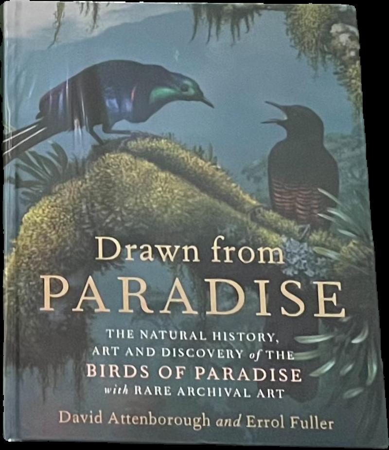 Drawn from paradise : the natural history, art and discovery of the birds of paradise live cover