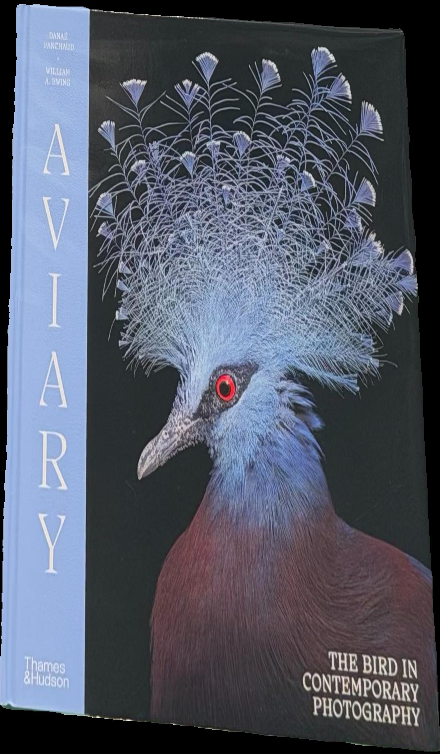Aviary : the bird in contemporary photography live cover
