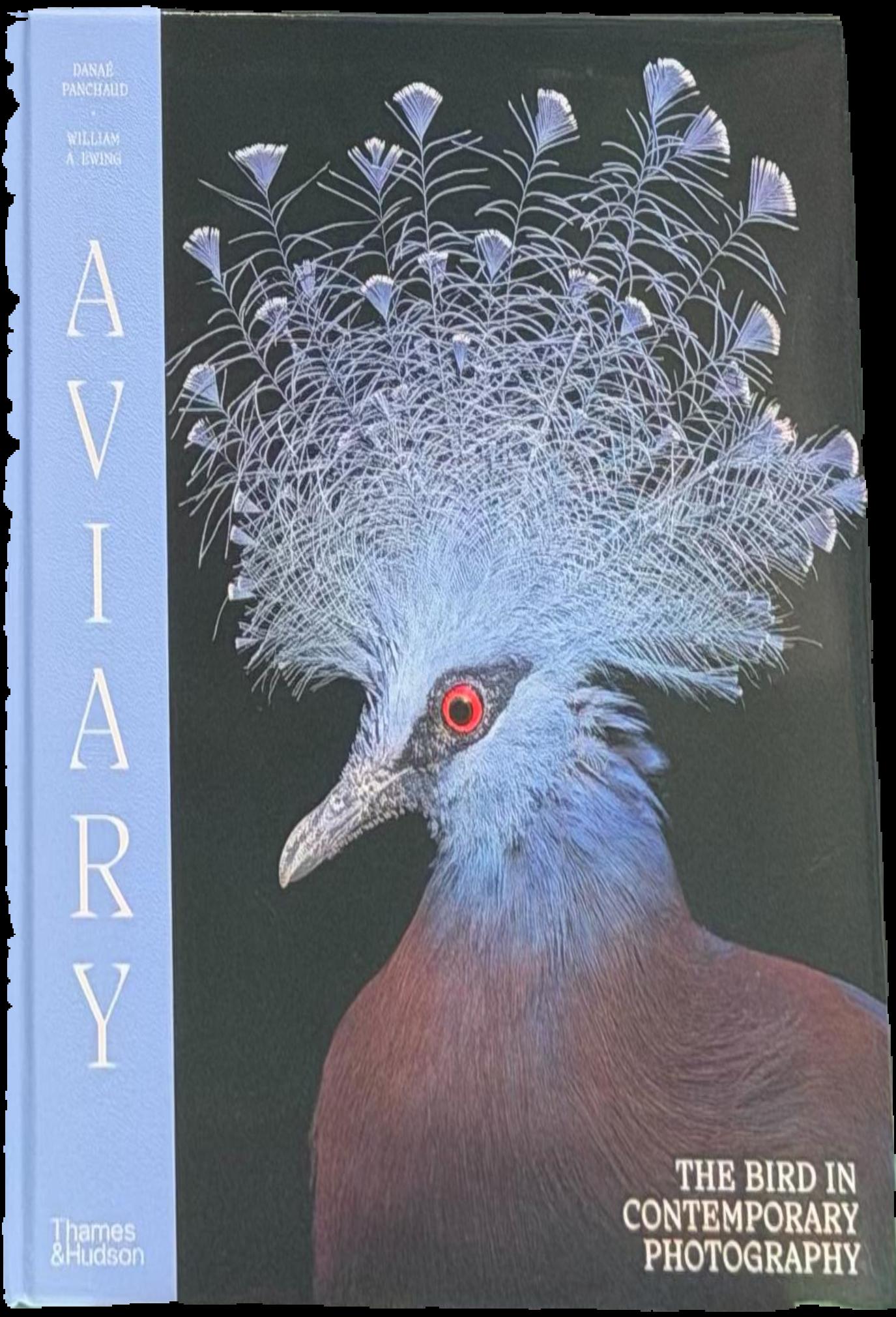 Aviary : the bird in contemporary photography live cover