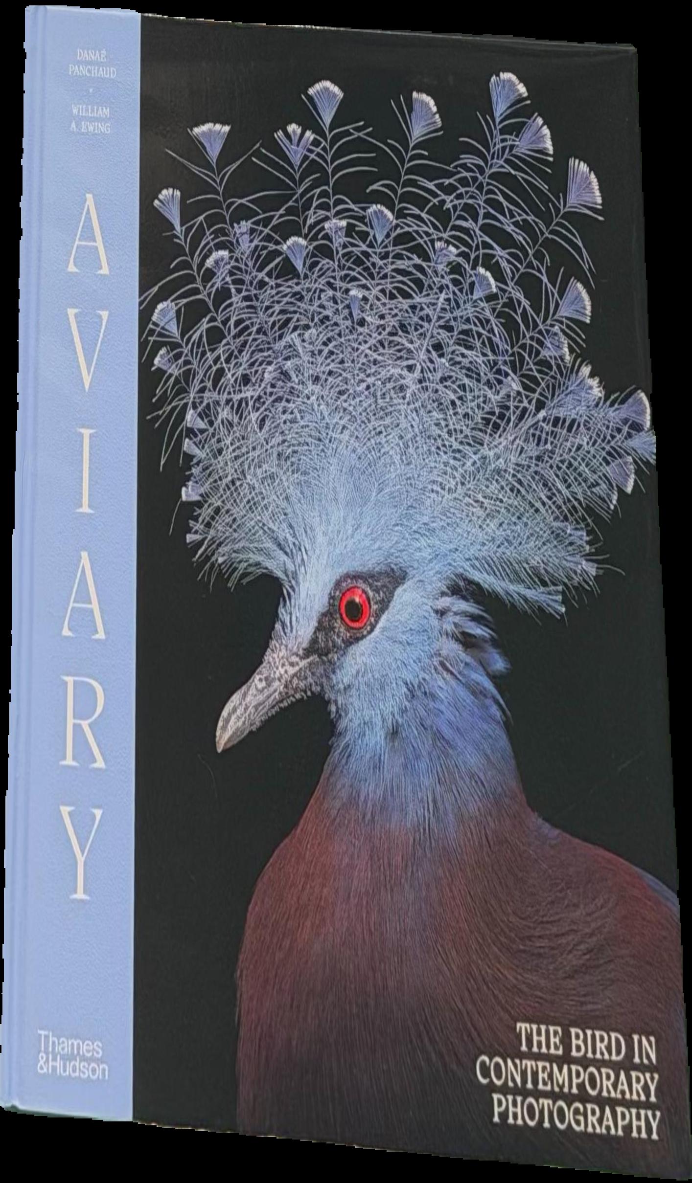 Aviary : the bird in contemporary photography live cover