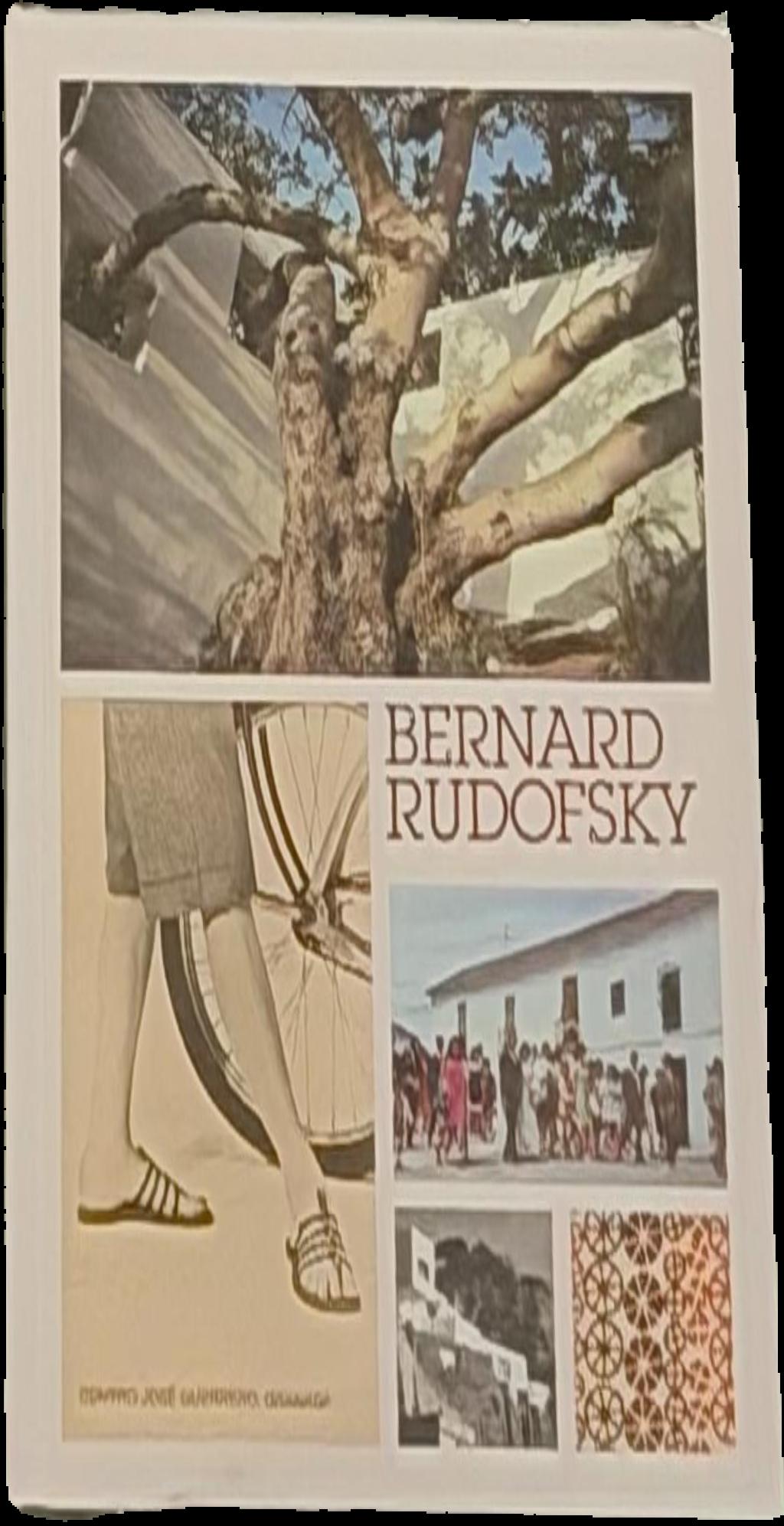 Bruguière : his photographs and his life live cover