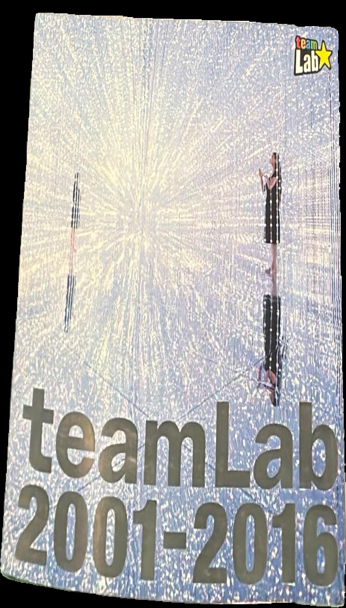 teamLab 2001-2016 live cover