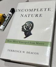 Incomplete nature : how mind emerged from matter live cover