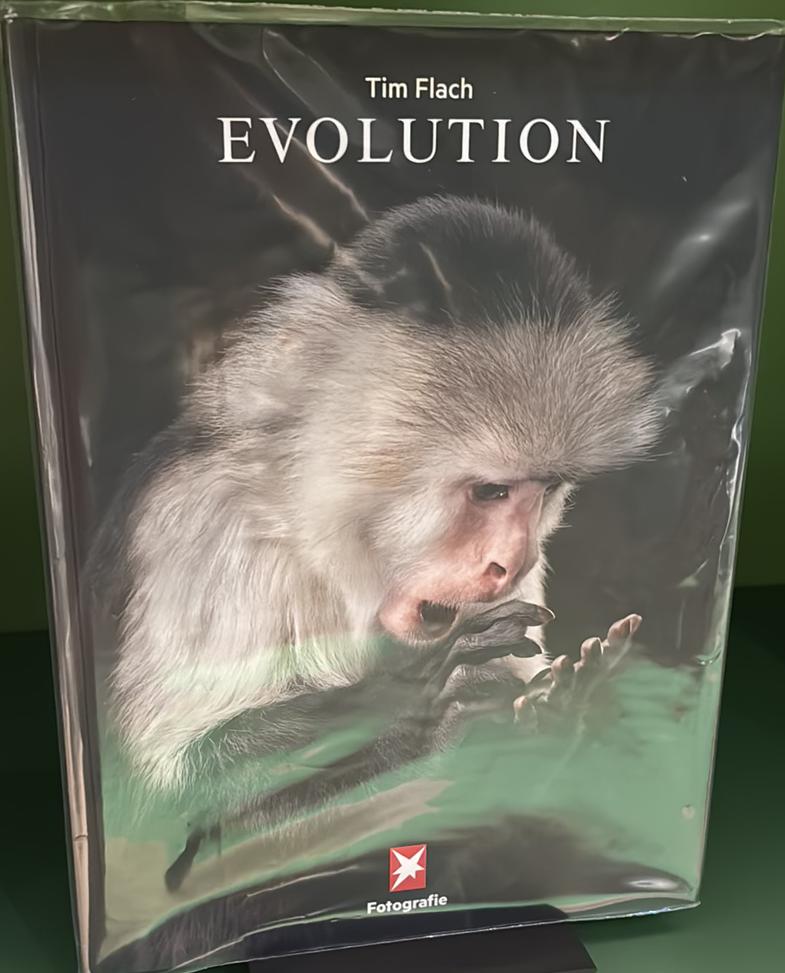 Evolution live cover