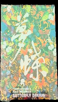 SNO catalogue : Sydney Non Objective 2005-2010 live cover