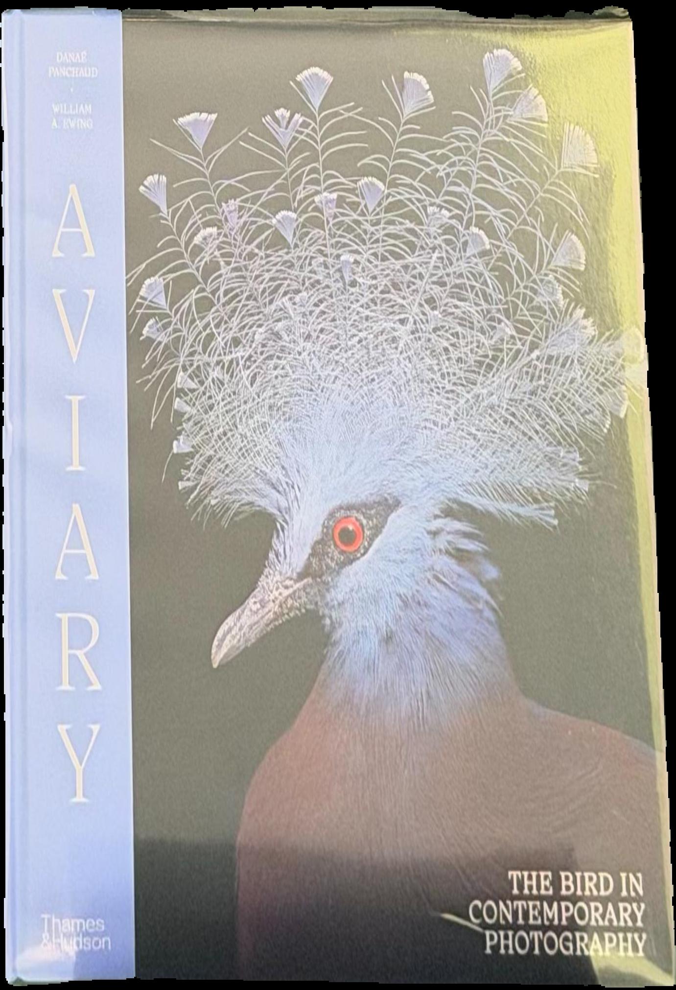 Aviary : the bird in contemporary photography live cover
