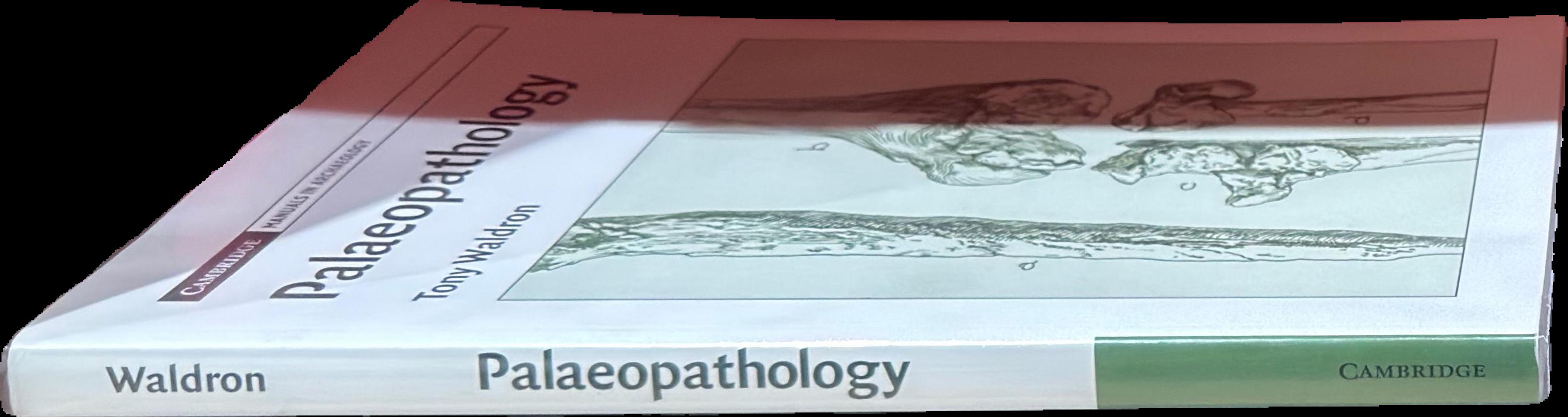 Palaeopathology live cover