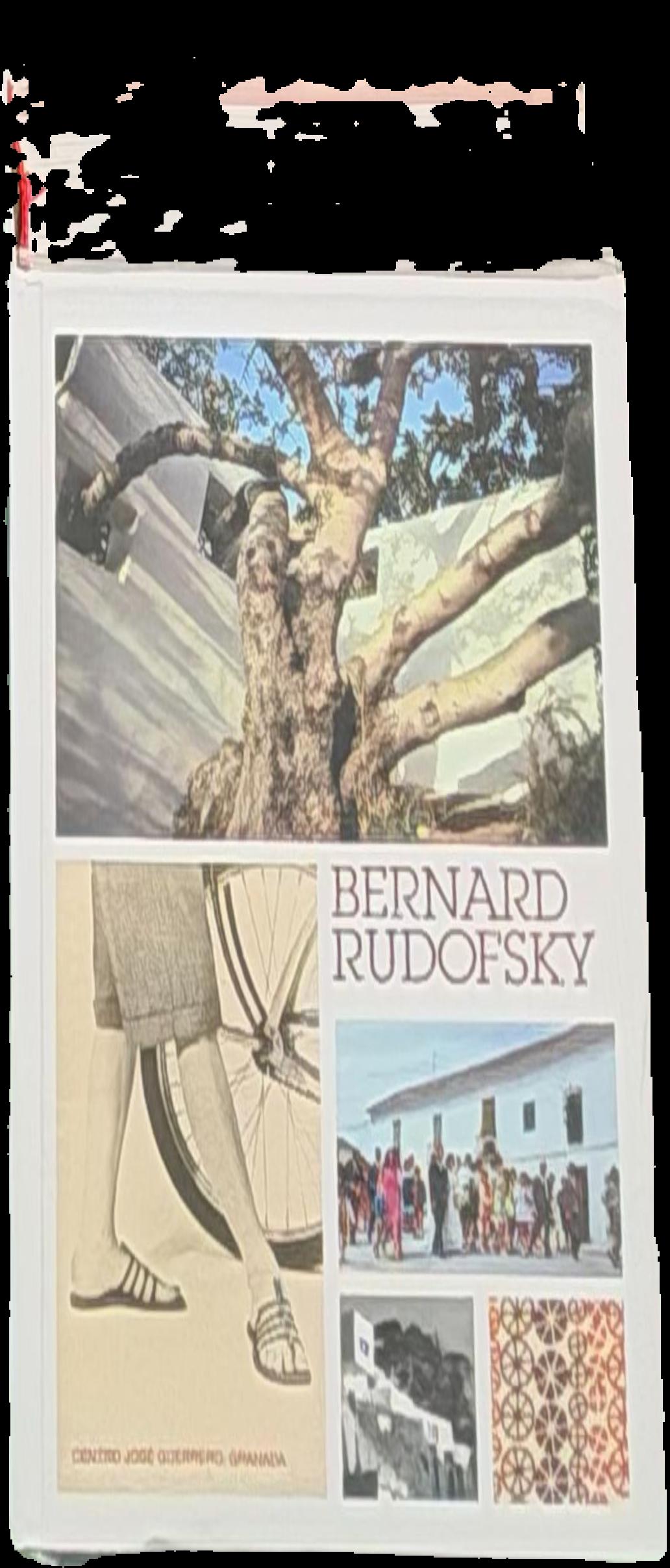 The prodigious builders : notes toward a natural history of architecture with special regard to those species that are traditionally neglected or downright ignored live cover