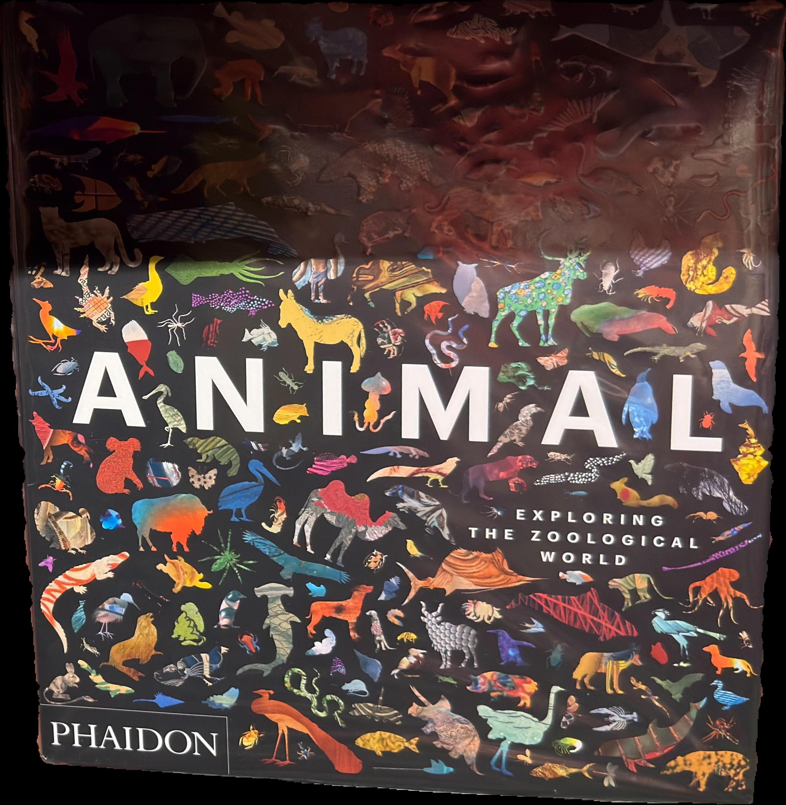 Animal : exploring the zoological world live cover
