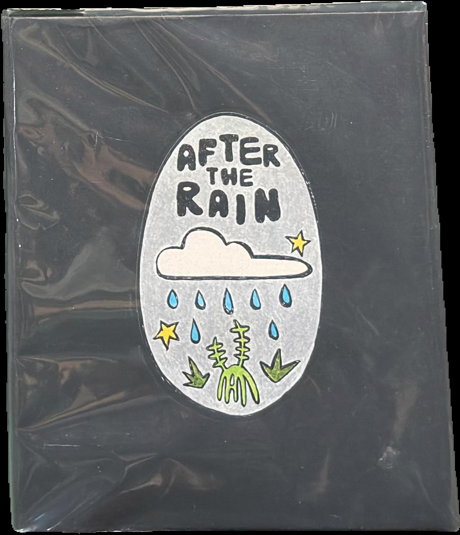 After the rain : 5th National Indigenous Art Triennial live cover