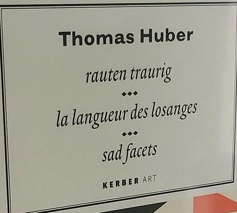 Thomas Huber : sad facets = rauten traurig = la langueur des losanges : gemalde, tableaux, paintings live cover