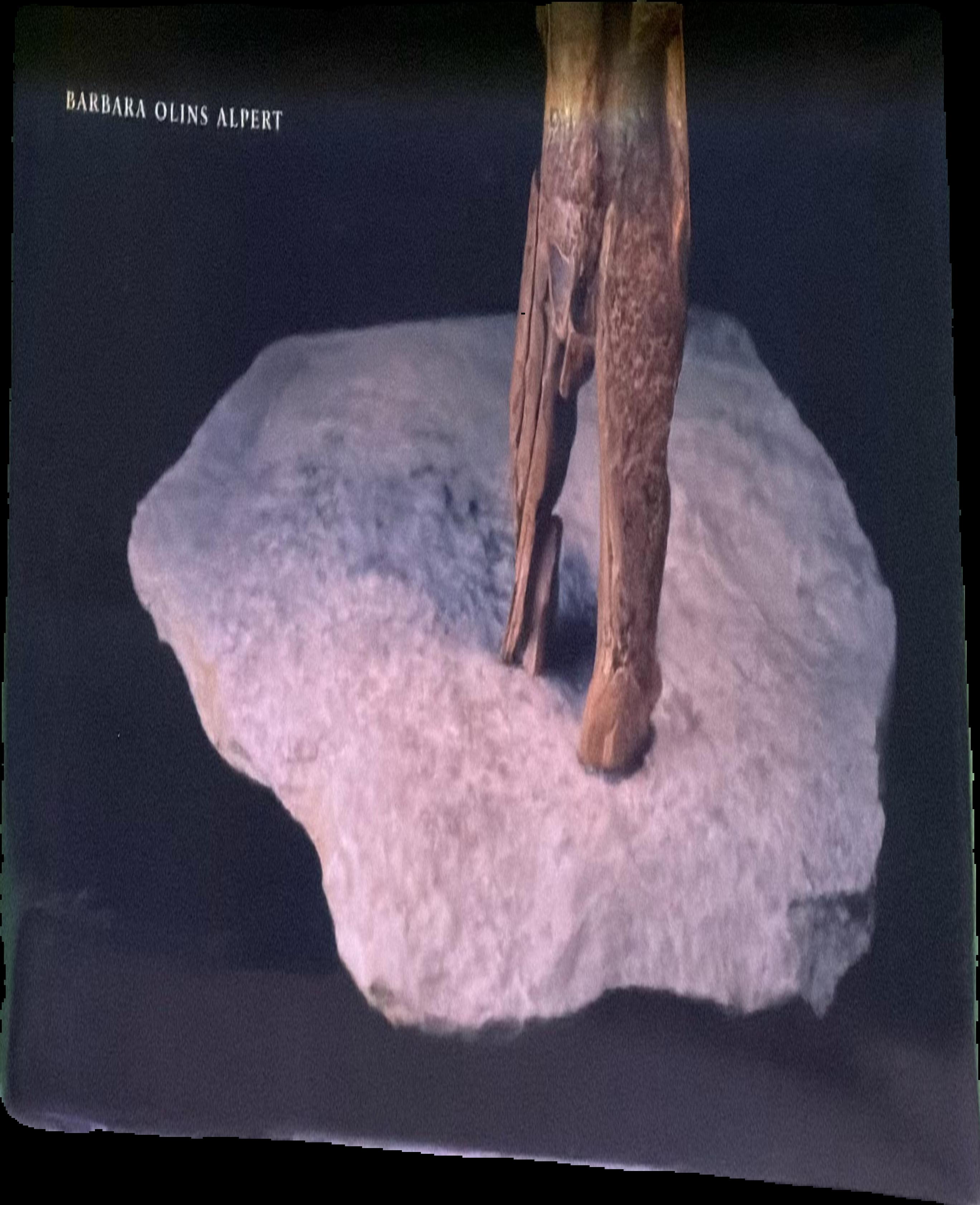 The creative ice age brain : cave art in the light of neuroscience live cover