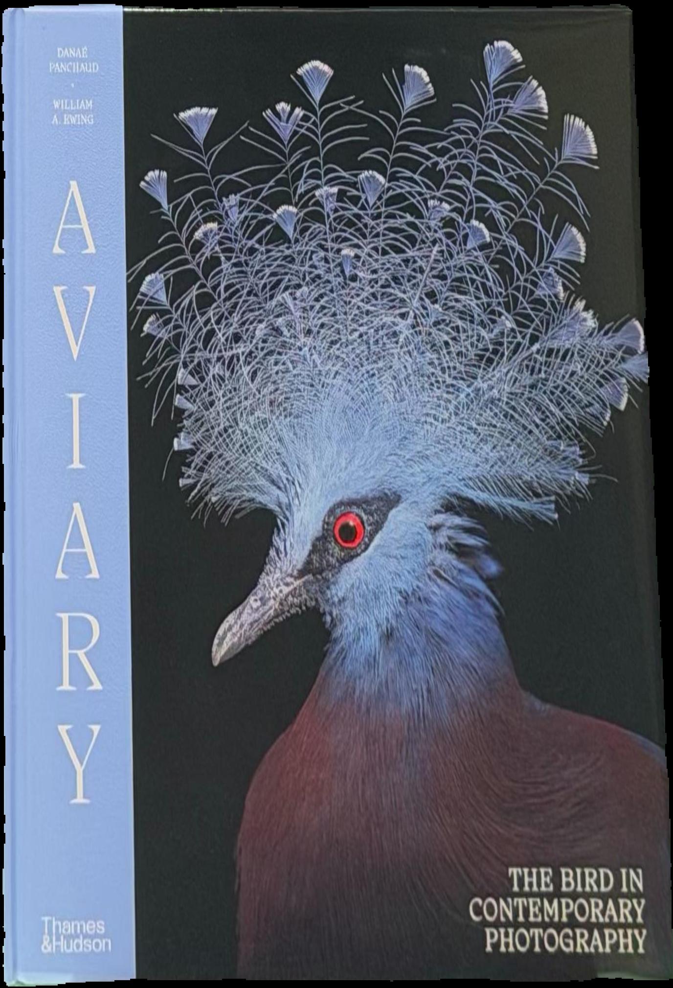Aviary : the bird in contemporary photography live cover