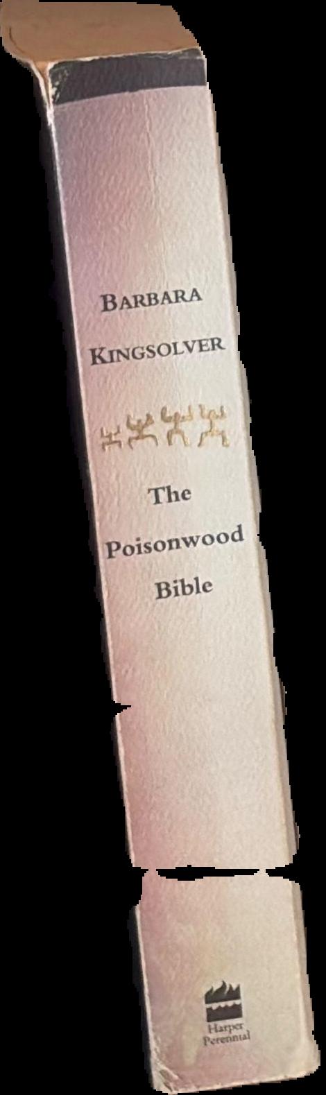 The poisonwood bible live cover