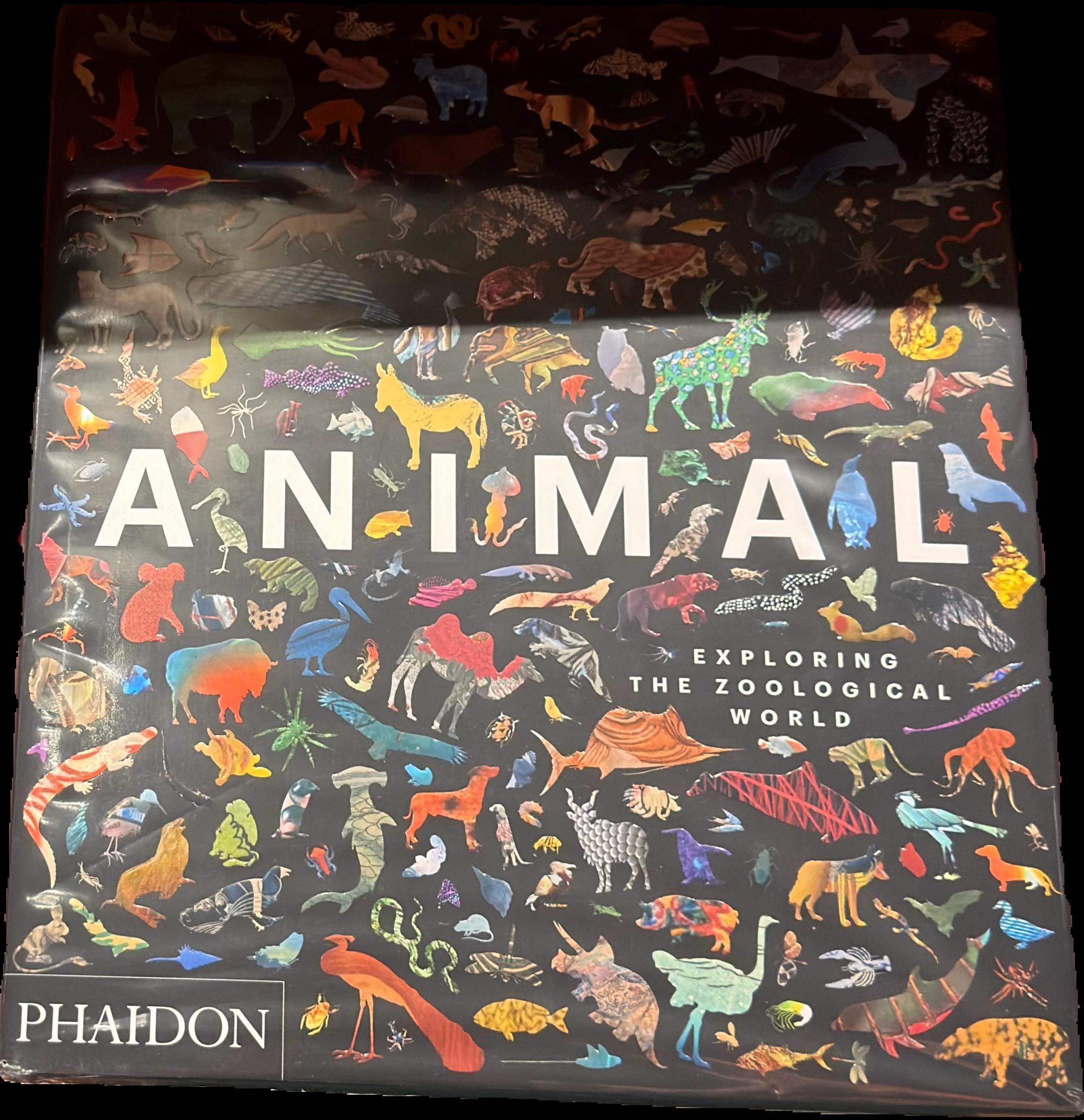 Animal : exploring the zoological world live cover