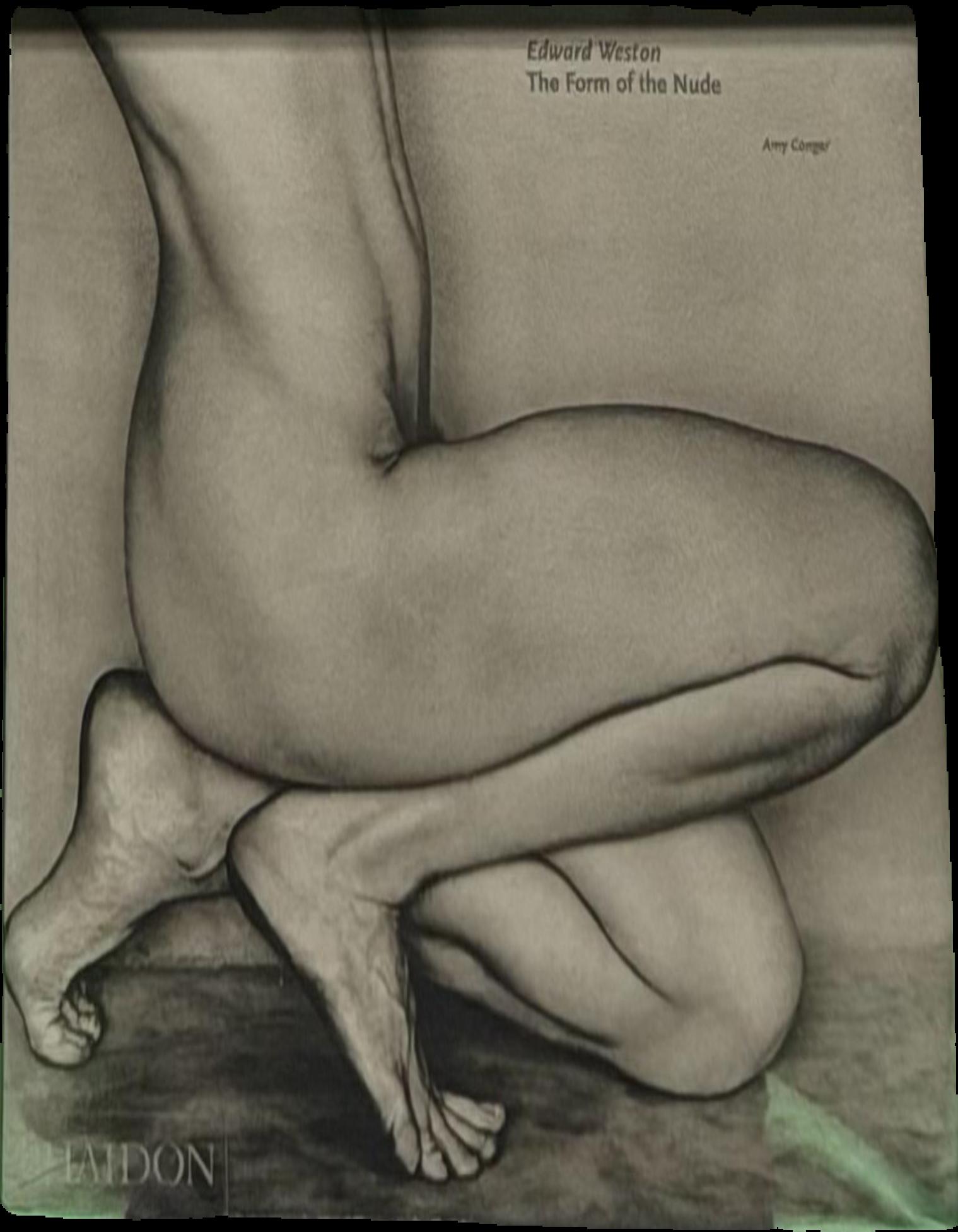 Edward Weston : the form of the nude live cover
