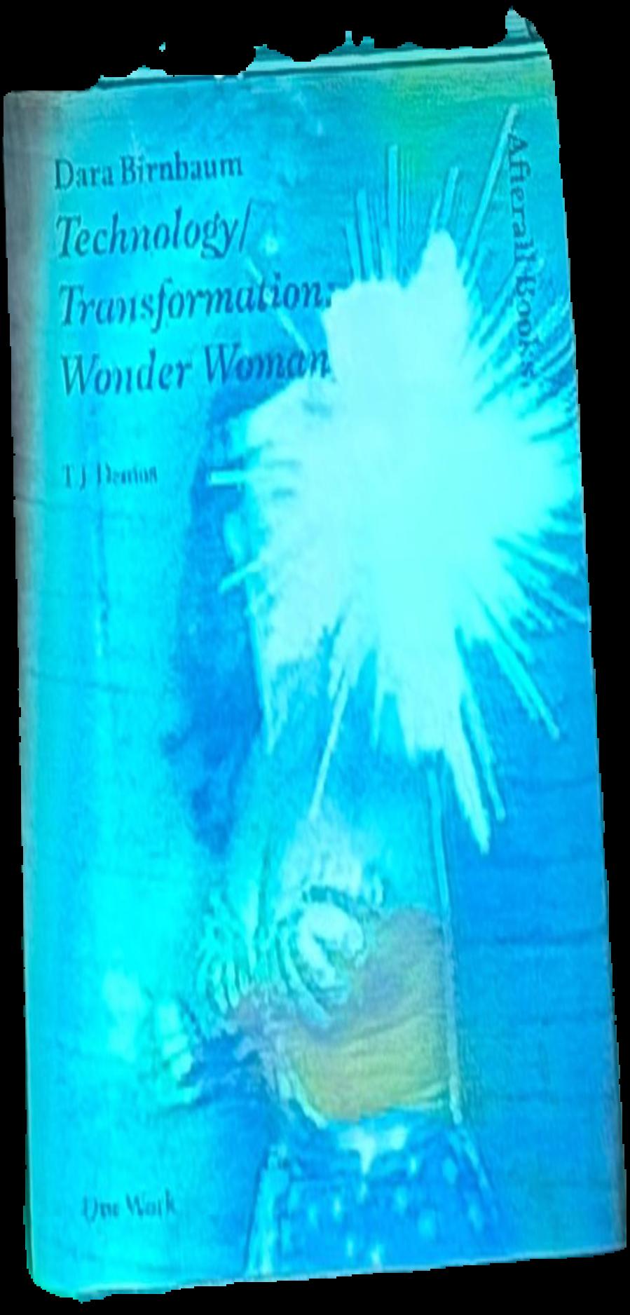 Dara Birnbaum : Technology/Transformation: Wonder Woman / T. J. Demos live cover