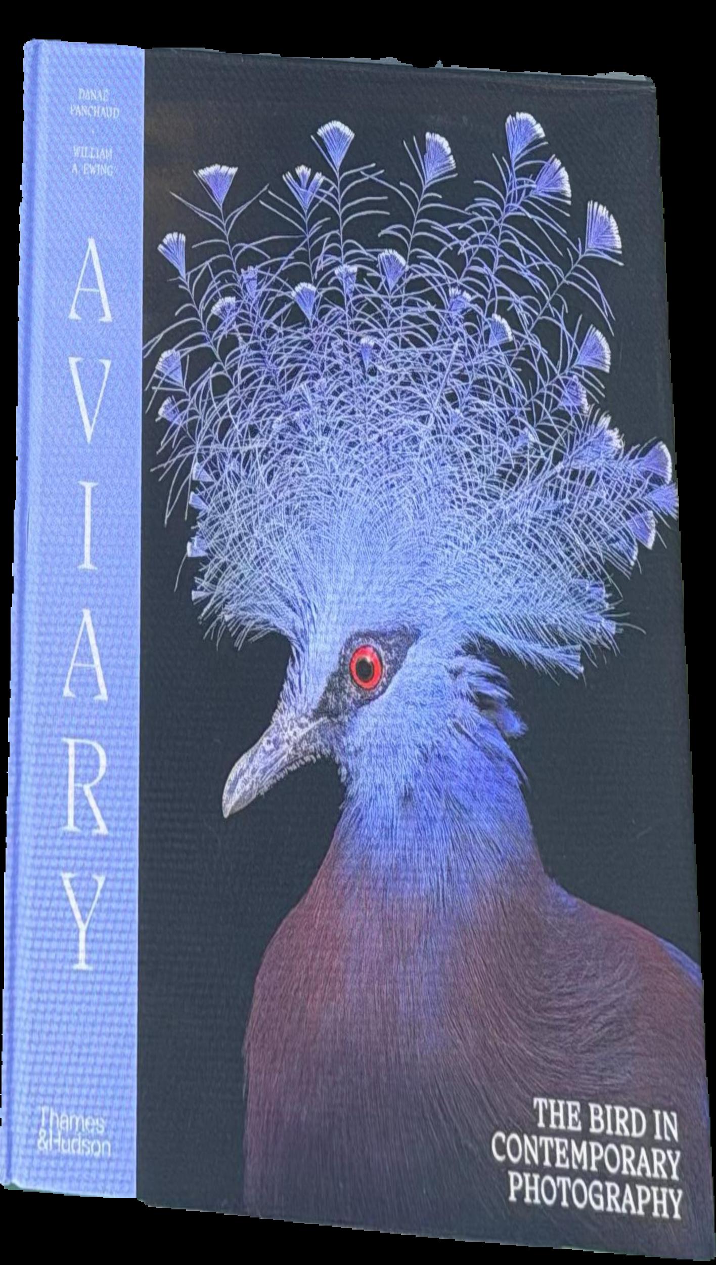 Aviary : the bird in contemporary photography live cover