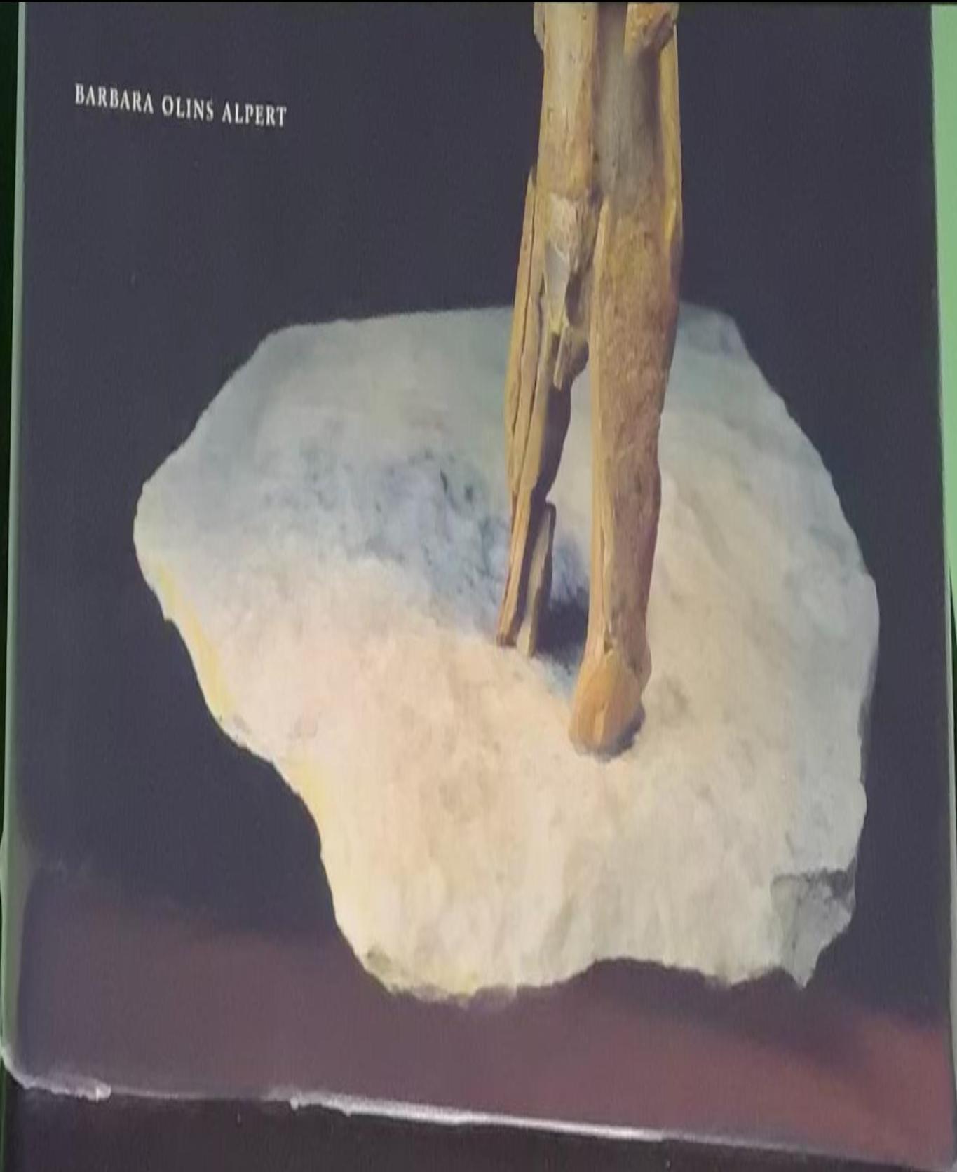 The creative ice age brain : cave art in the light of neuroscience live cover