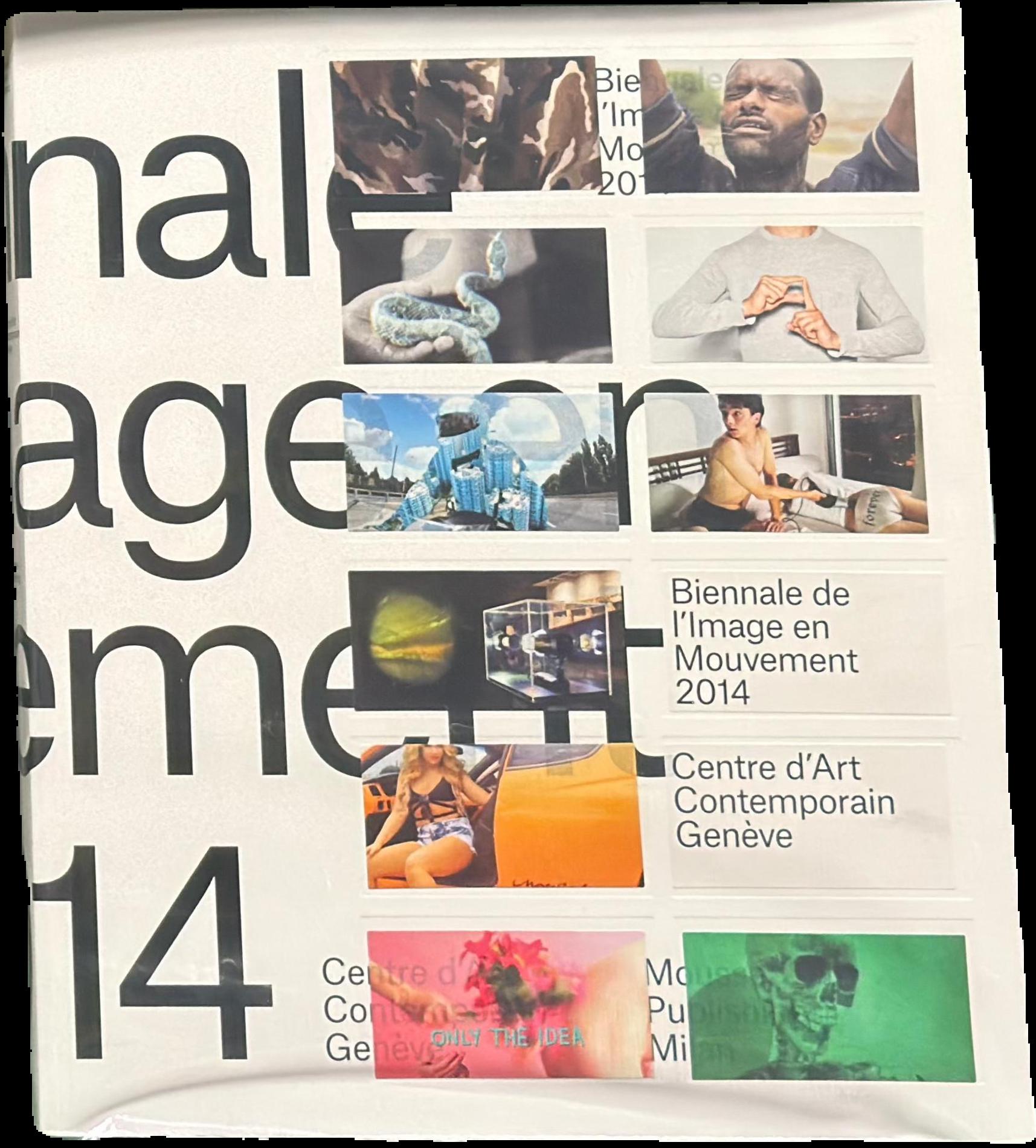 Biennale de l'Image en Mouvement : 2014 live cover