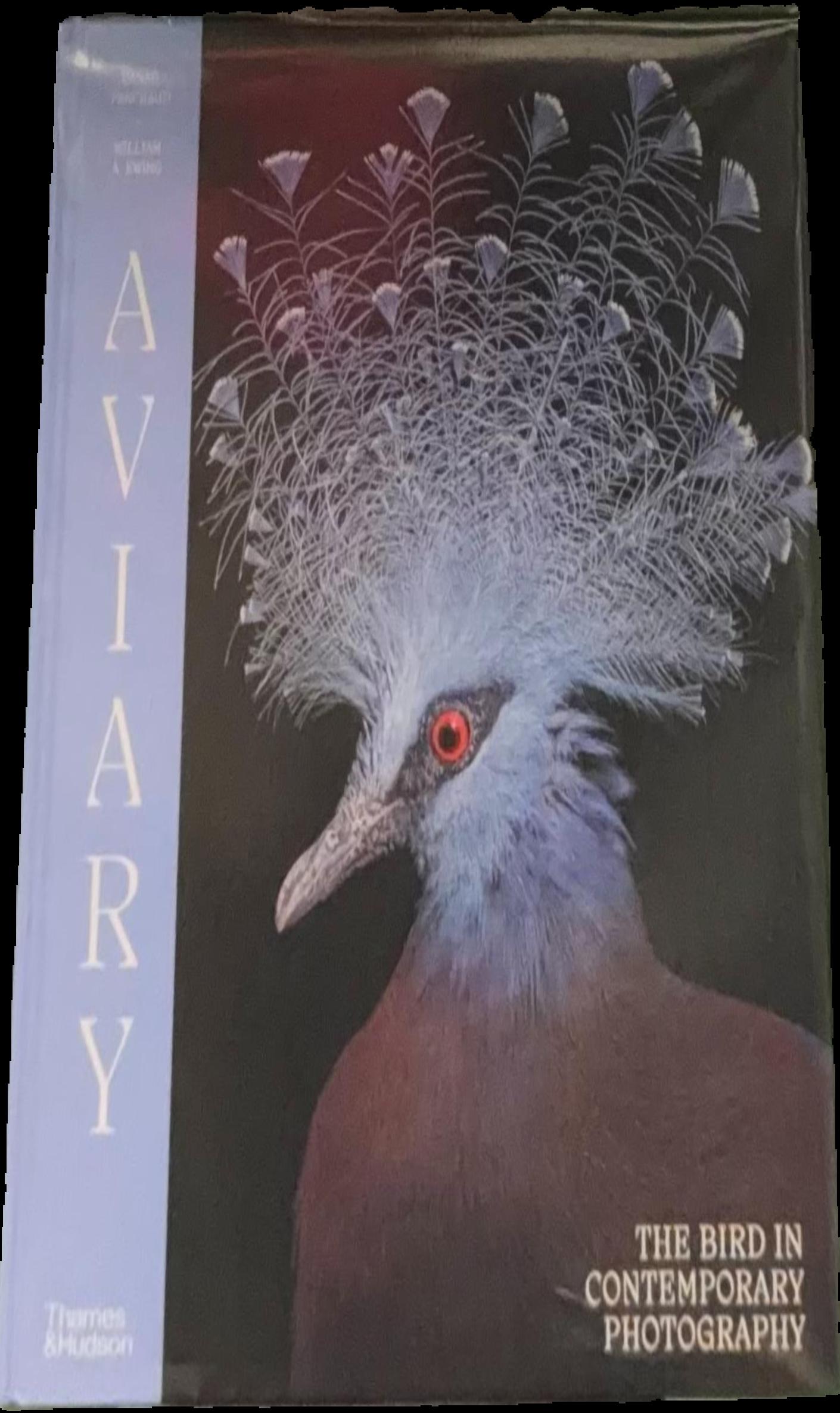 Aviary : the bird in contemporary photography live cover