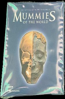 Mummies of the world live cover