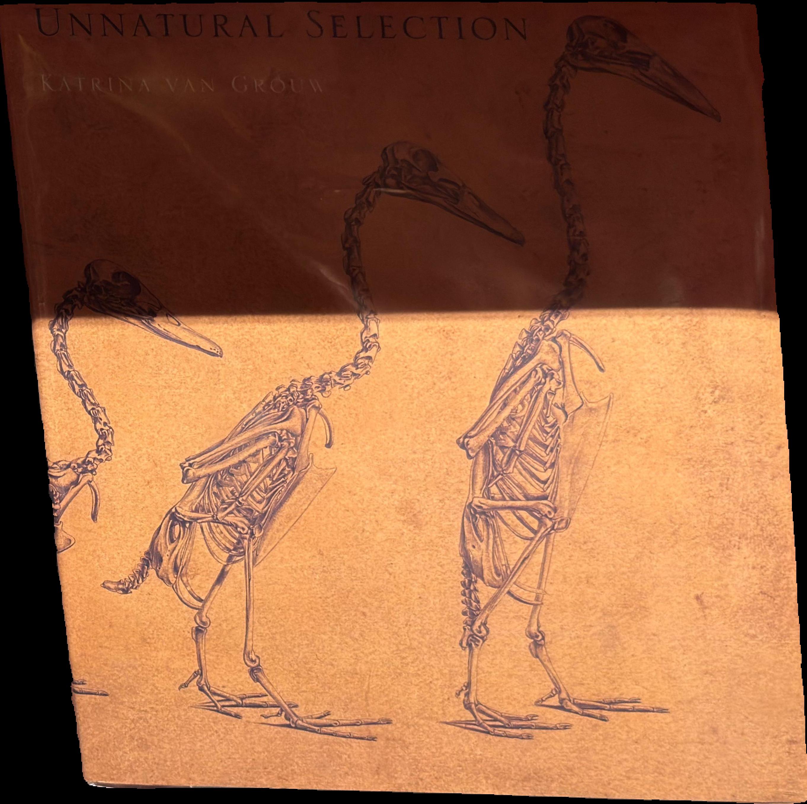 Unnatural selection live cover