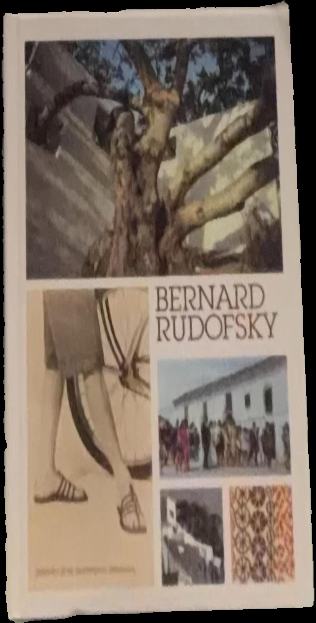 Bernard Rudofsky : desobediencia critica a la modernidad live cover