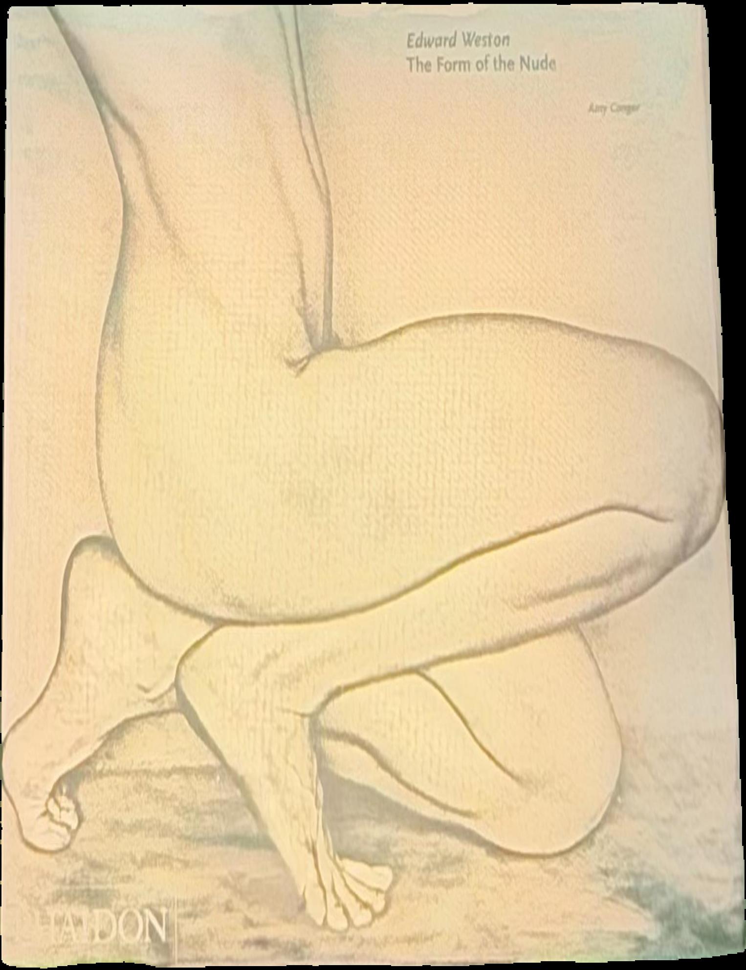 Edward Weston : the form of the nude live cover
