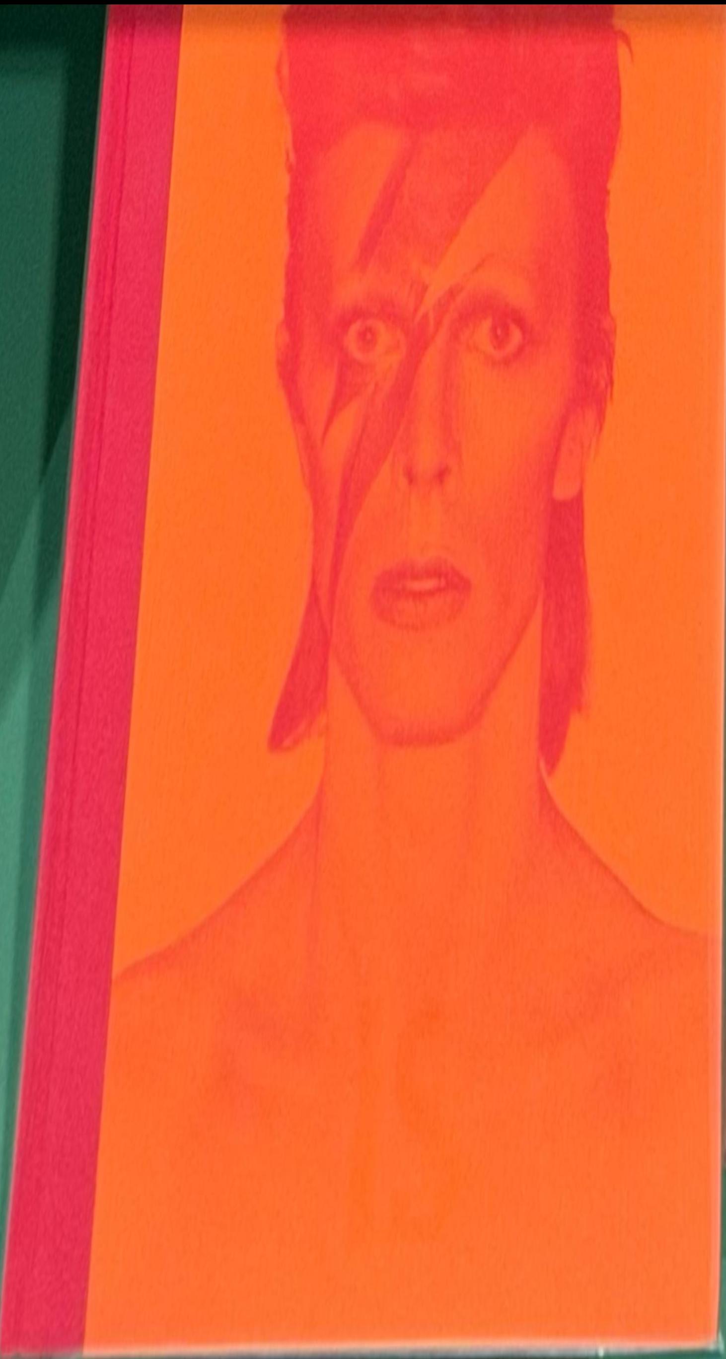 David Bowie : an illustrated discography live cover