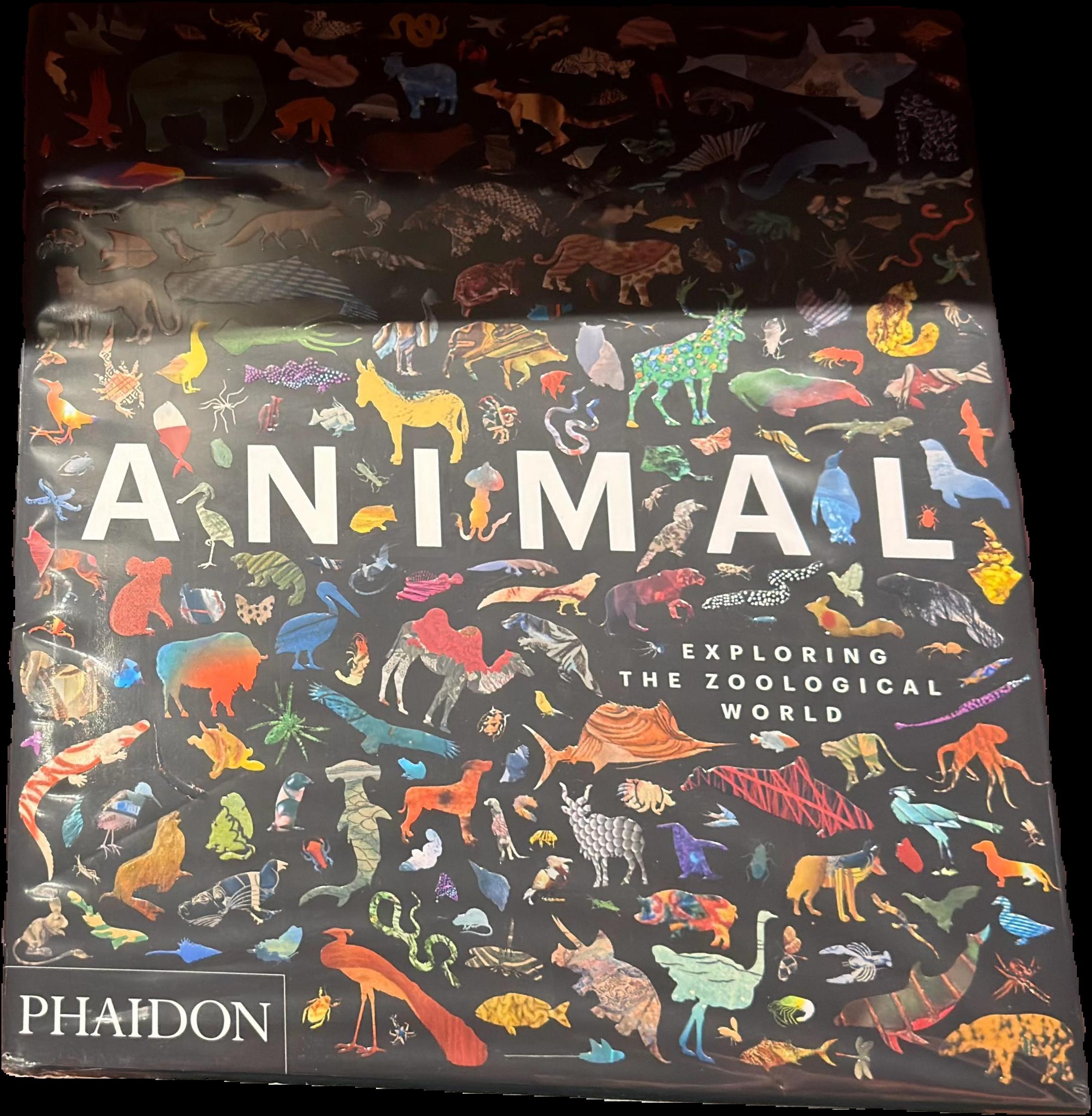 Animal : exploring the zoological world live cover