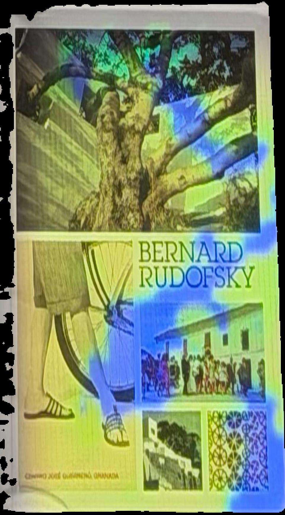 Disorientation : Bernard Rudofsky in the empire of signs live cover